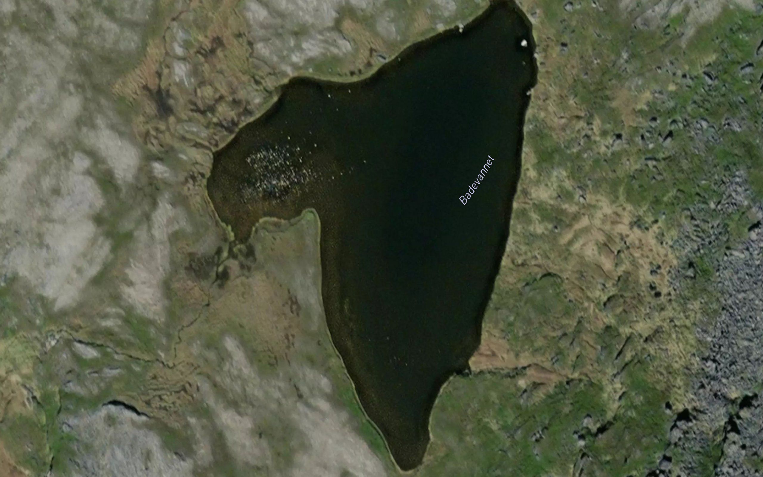 Badevatnet