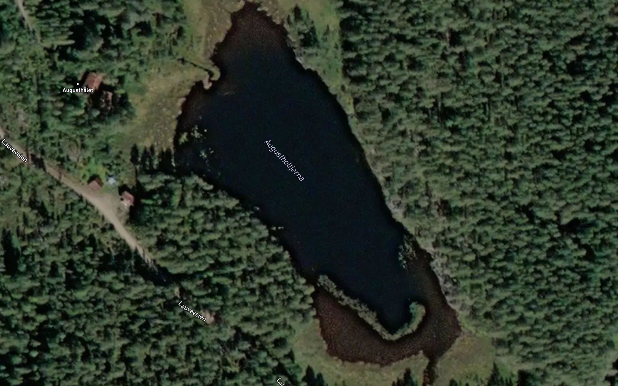 Augustholtjerna