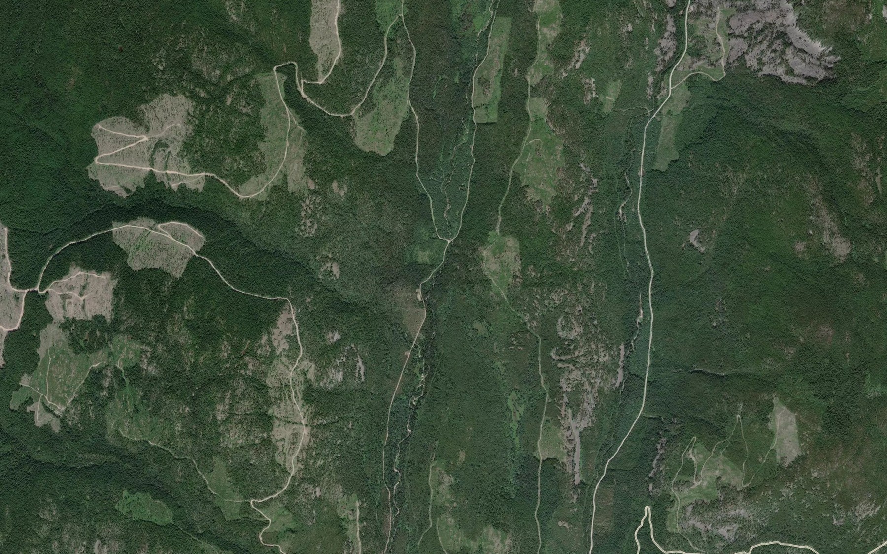 Satellite map of the Molly Creek