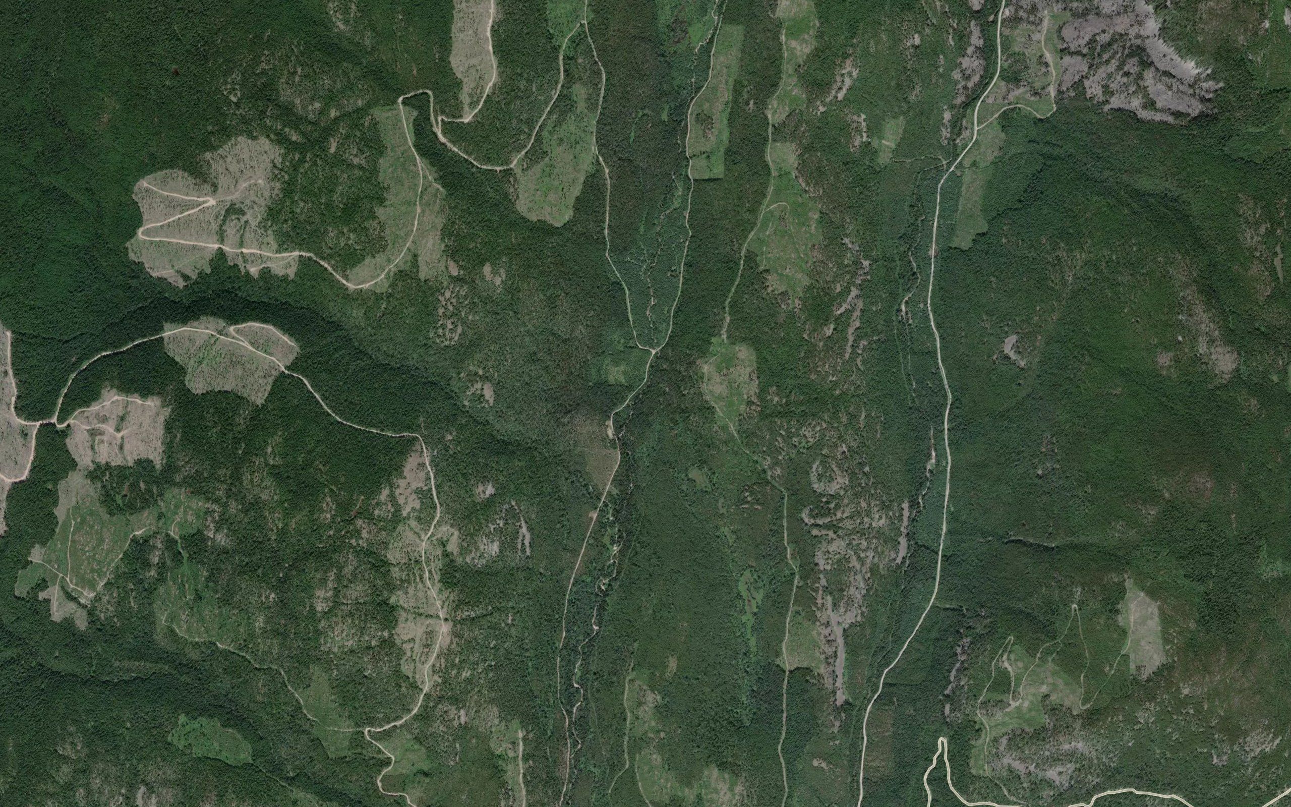 Molly Creek