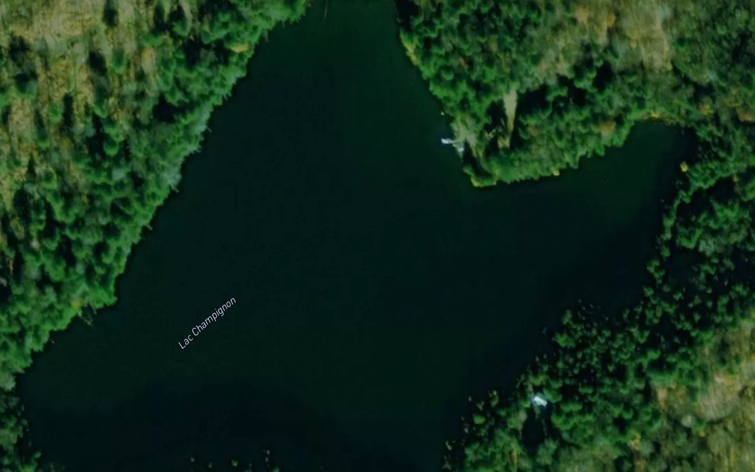 Lac Champignon