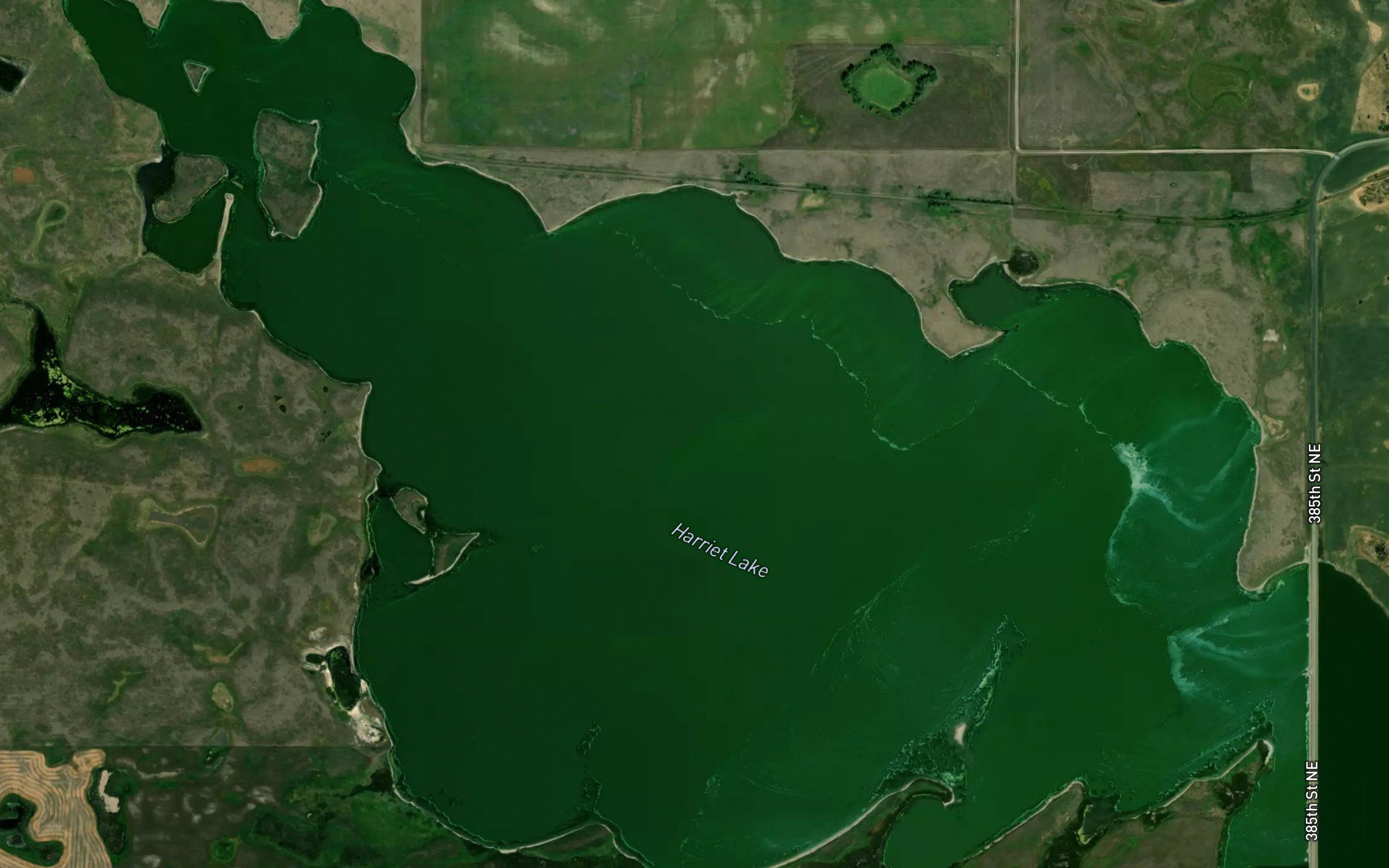 Harriet Lake