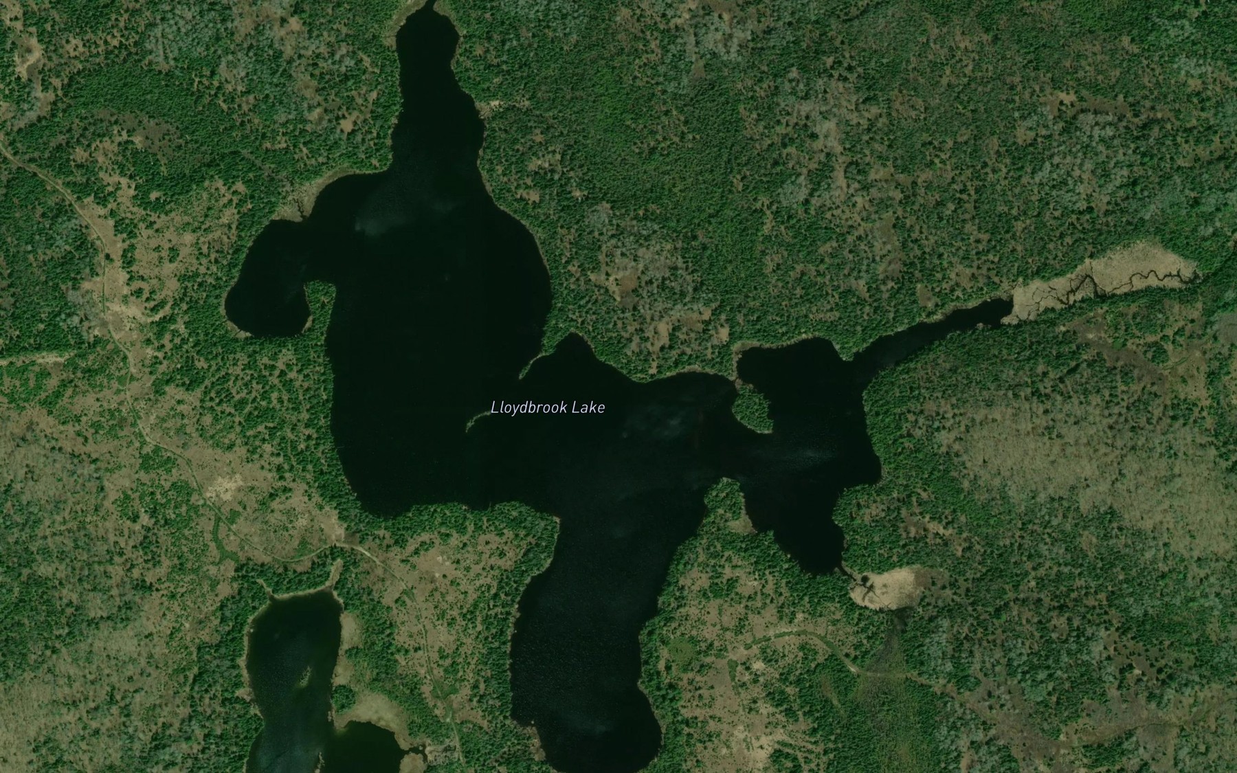Satellite map of the Lloydbrook Lake