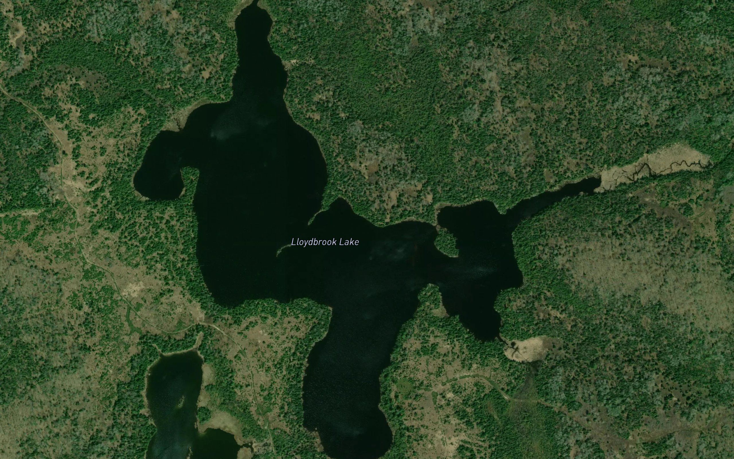 Lloydbrook Lake