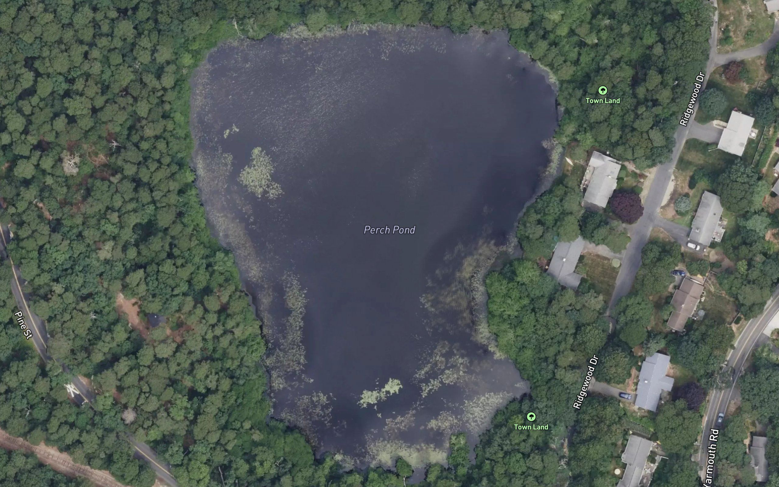 Perch Pond