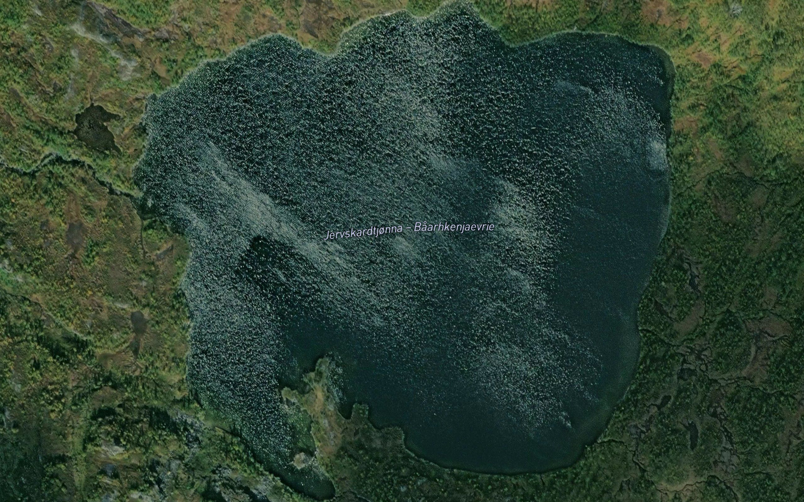 Jervskardtjorna