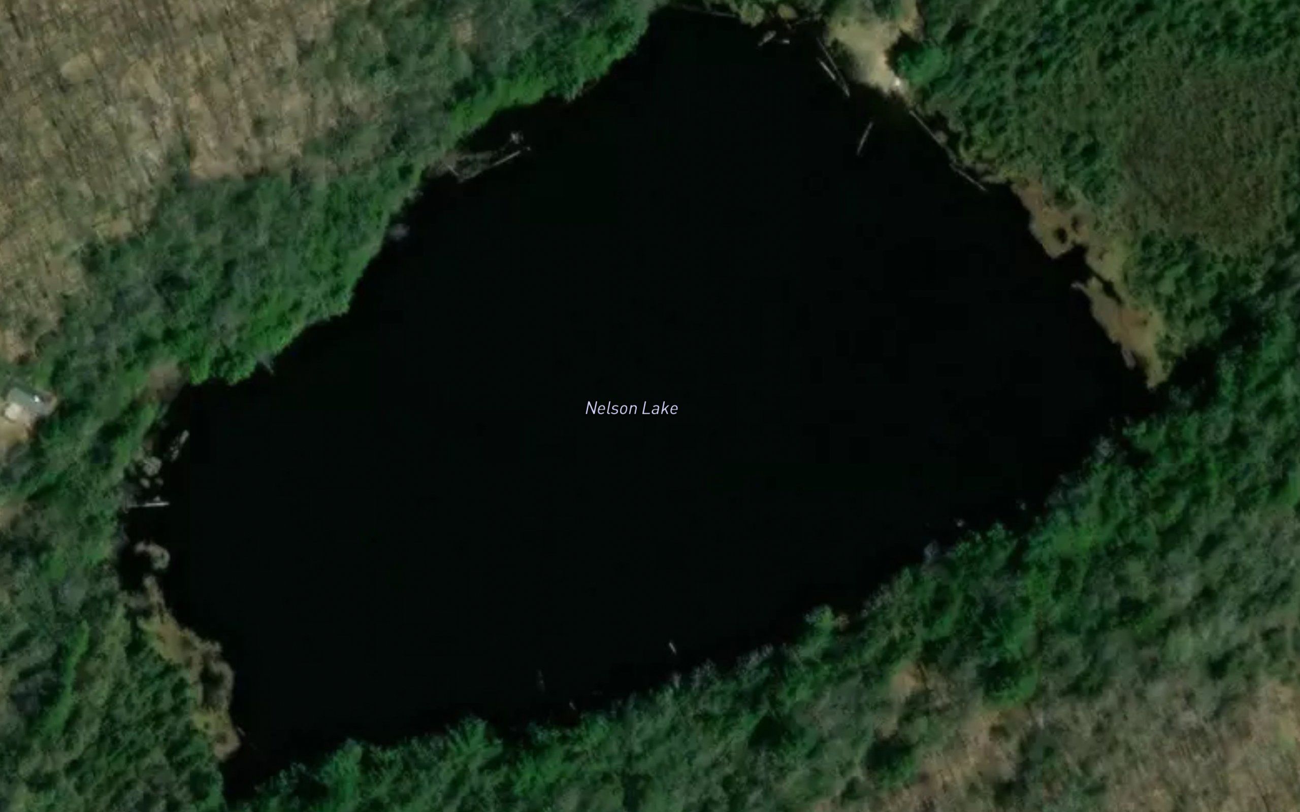 Nelson Lake