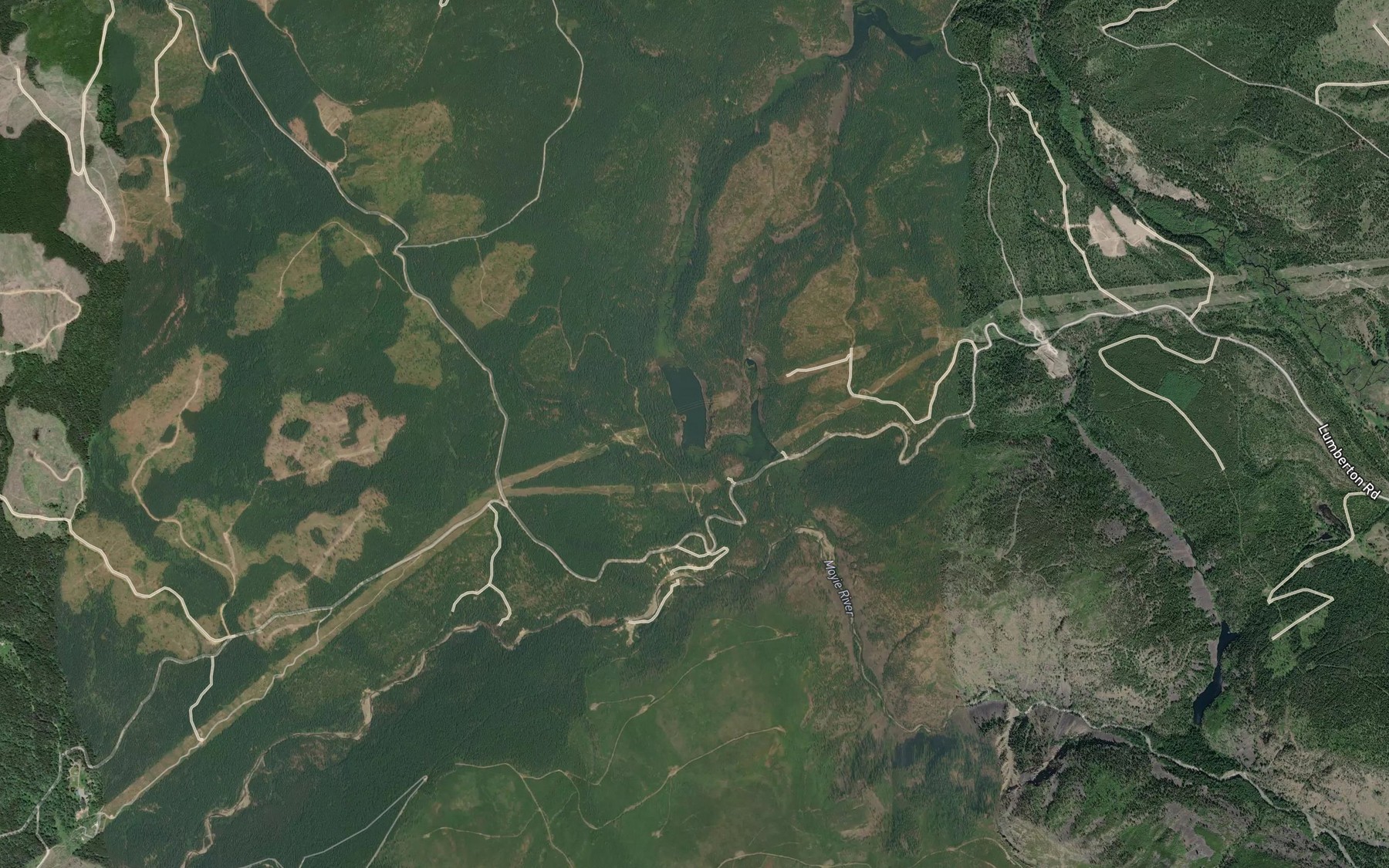 Satellite map of the Negro Creek