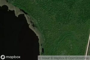 White Cypress Tributary