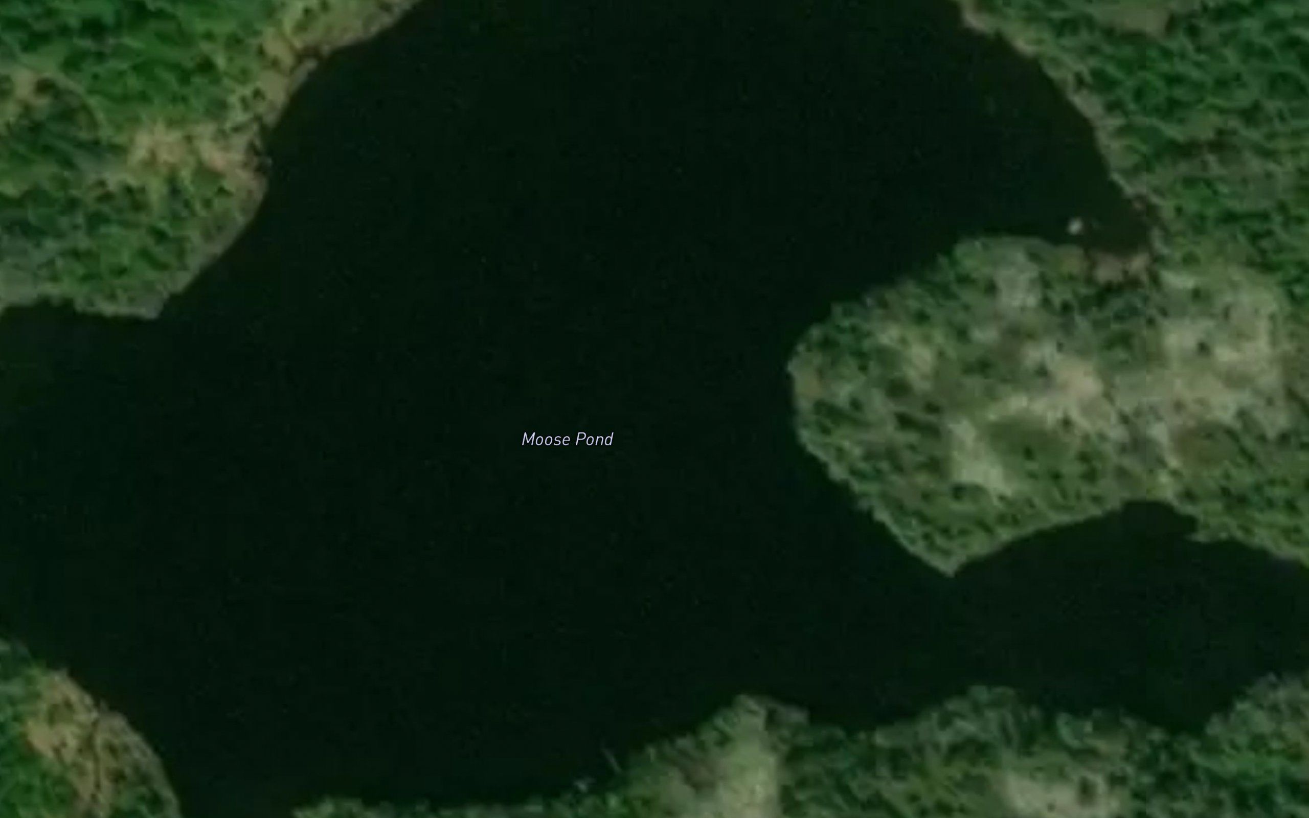 Moose Pond