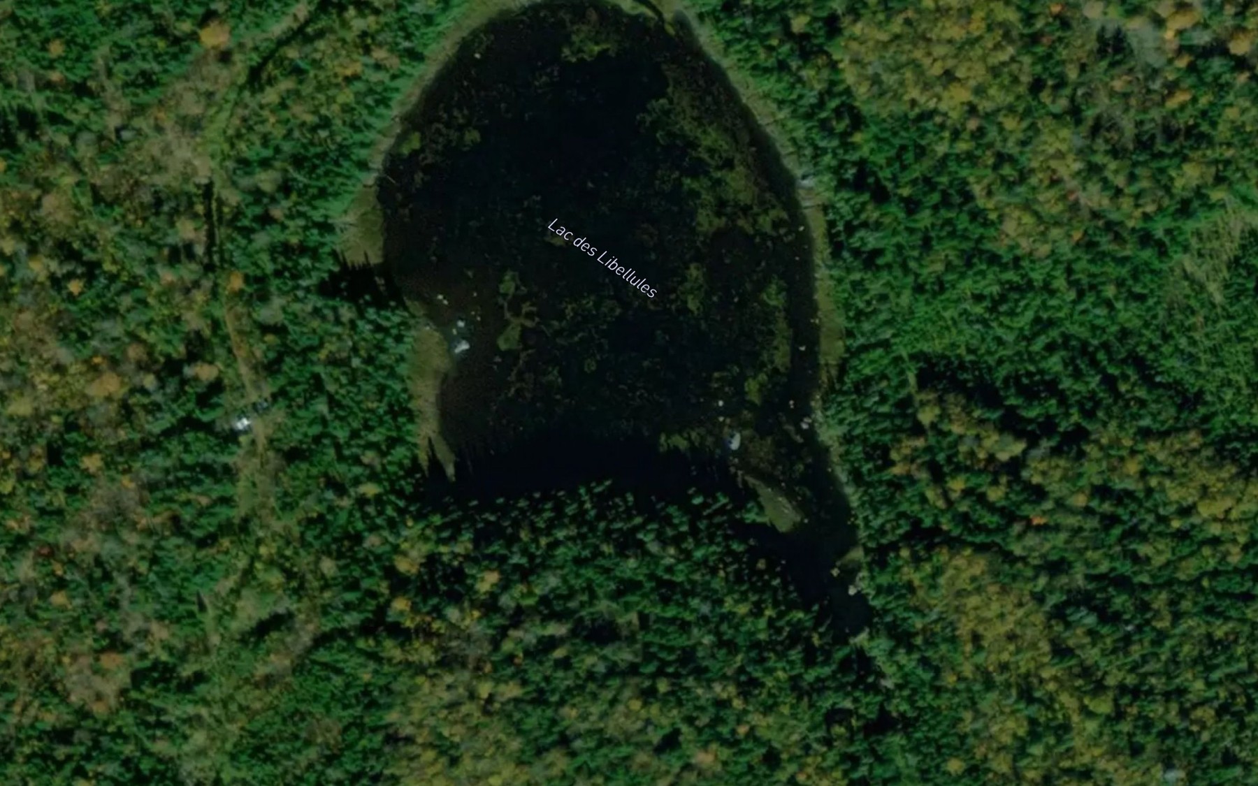 Satellite map of the Lac des Libellules