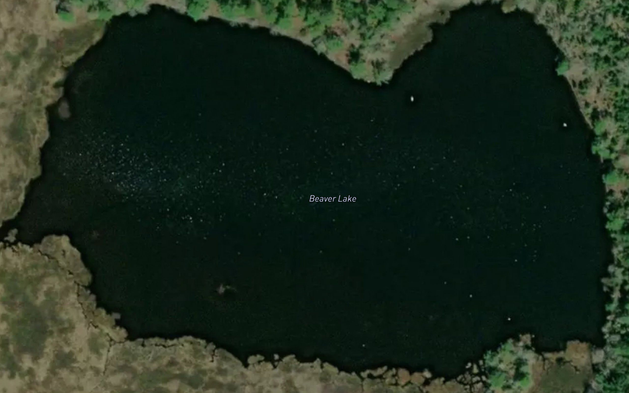 Beaver Lake