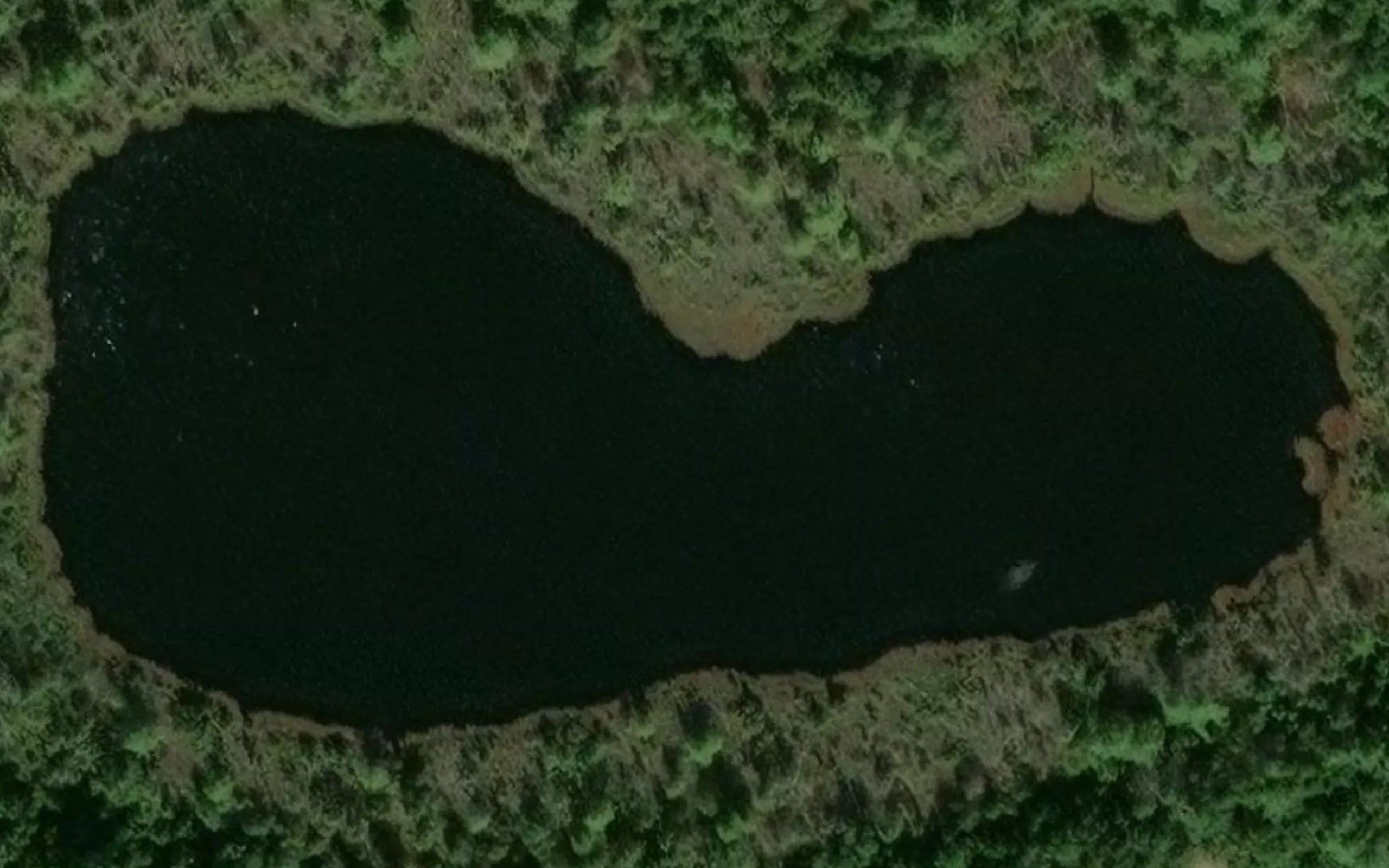 Unknown Pond