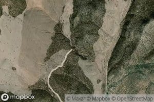 Mustang Spring