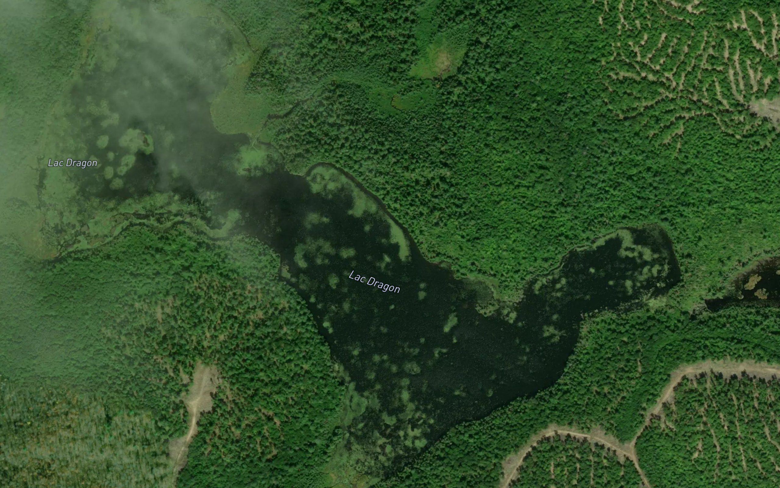 Lac Dragon