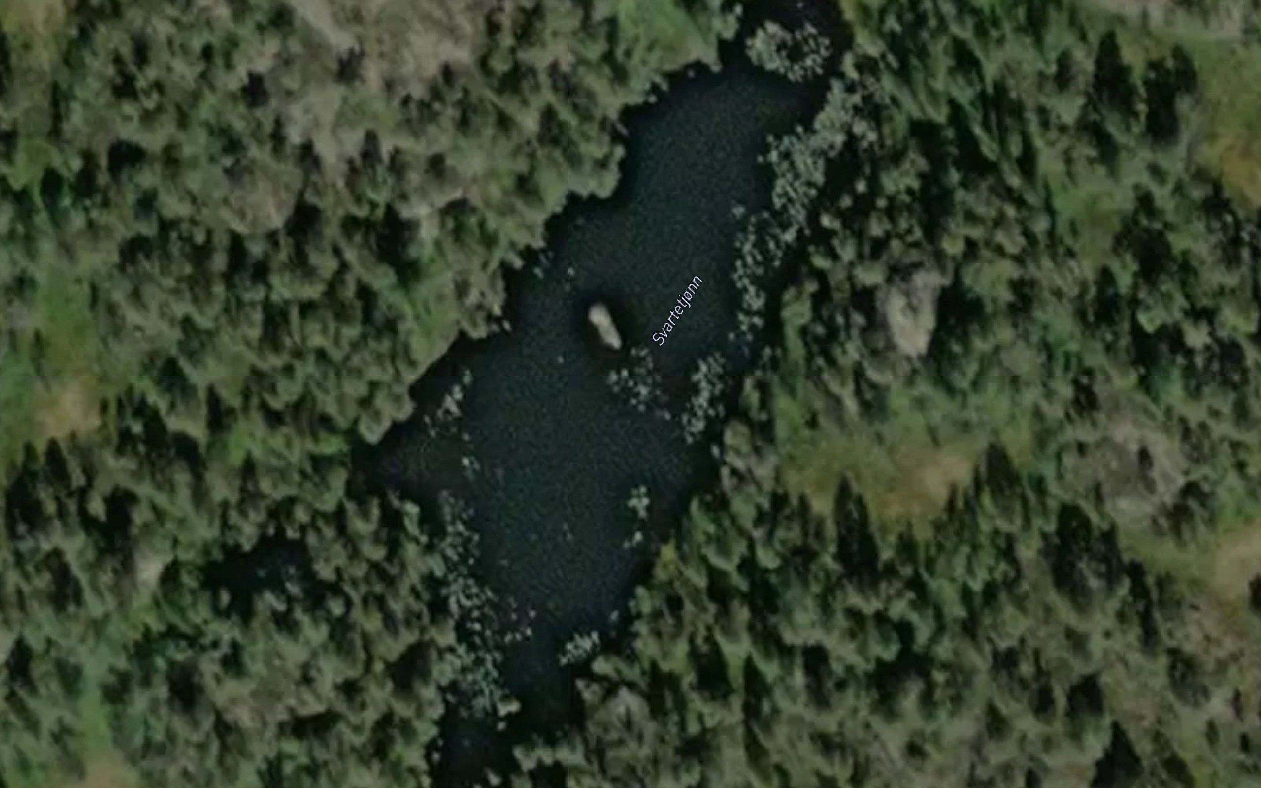 Svartetjonn