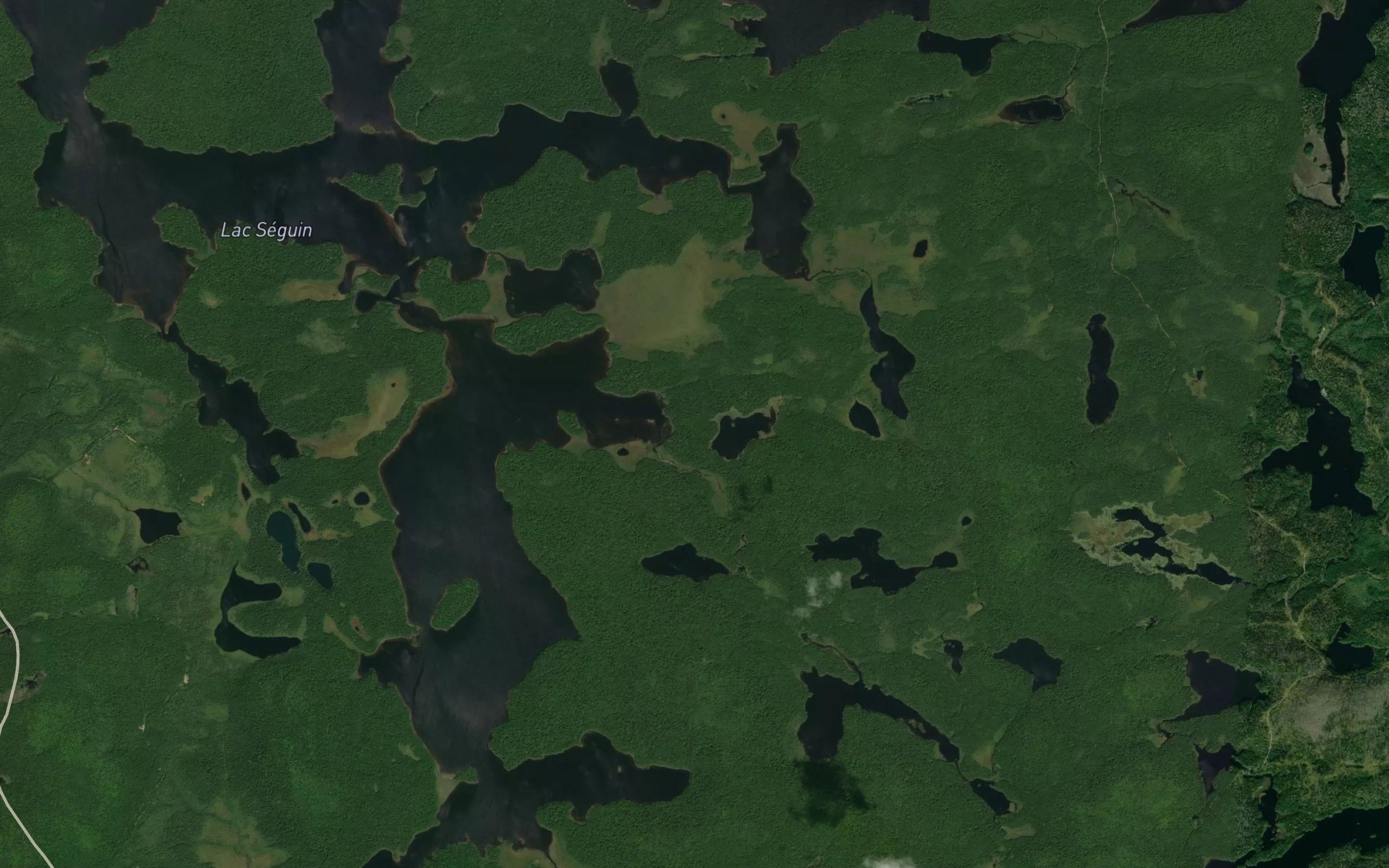 Satellite map of the Baie Patricia