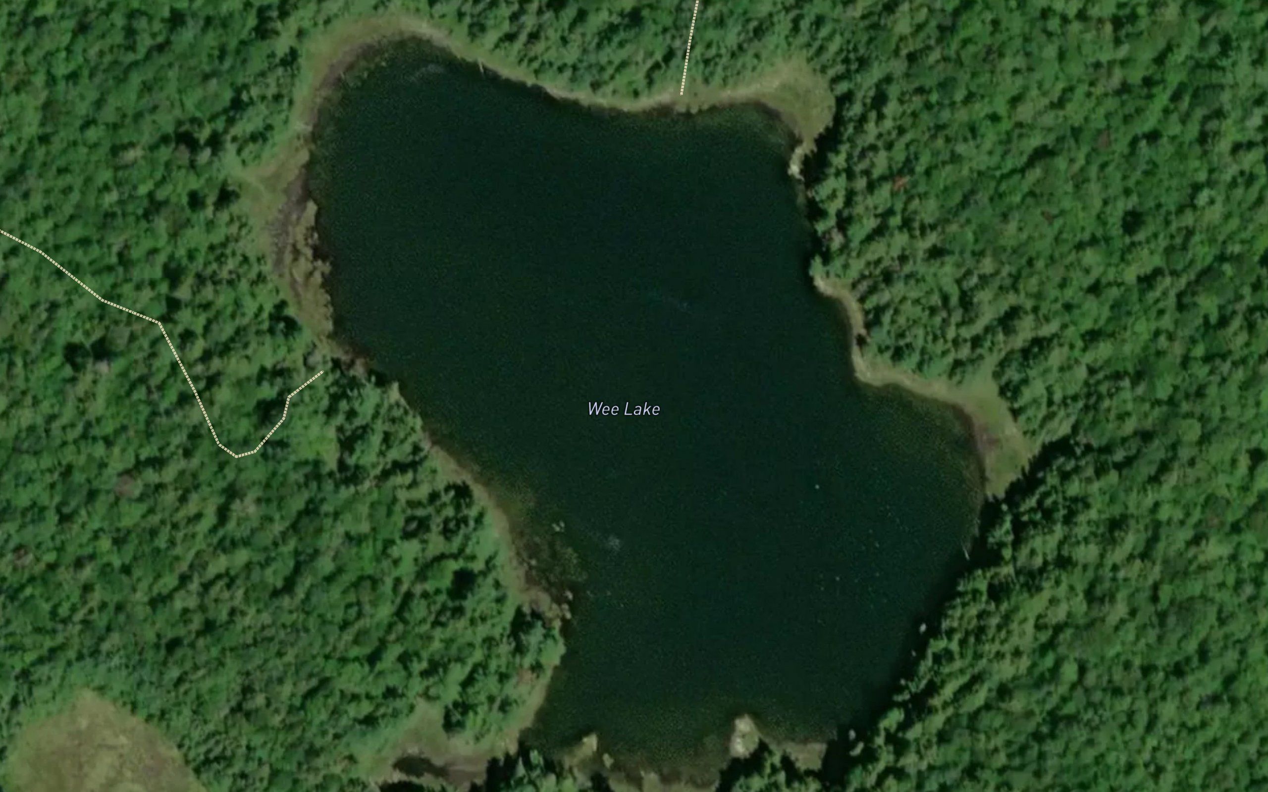 Wee Lake