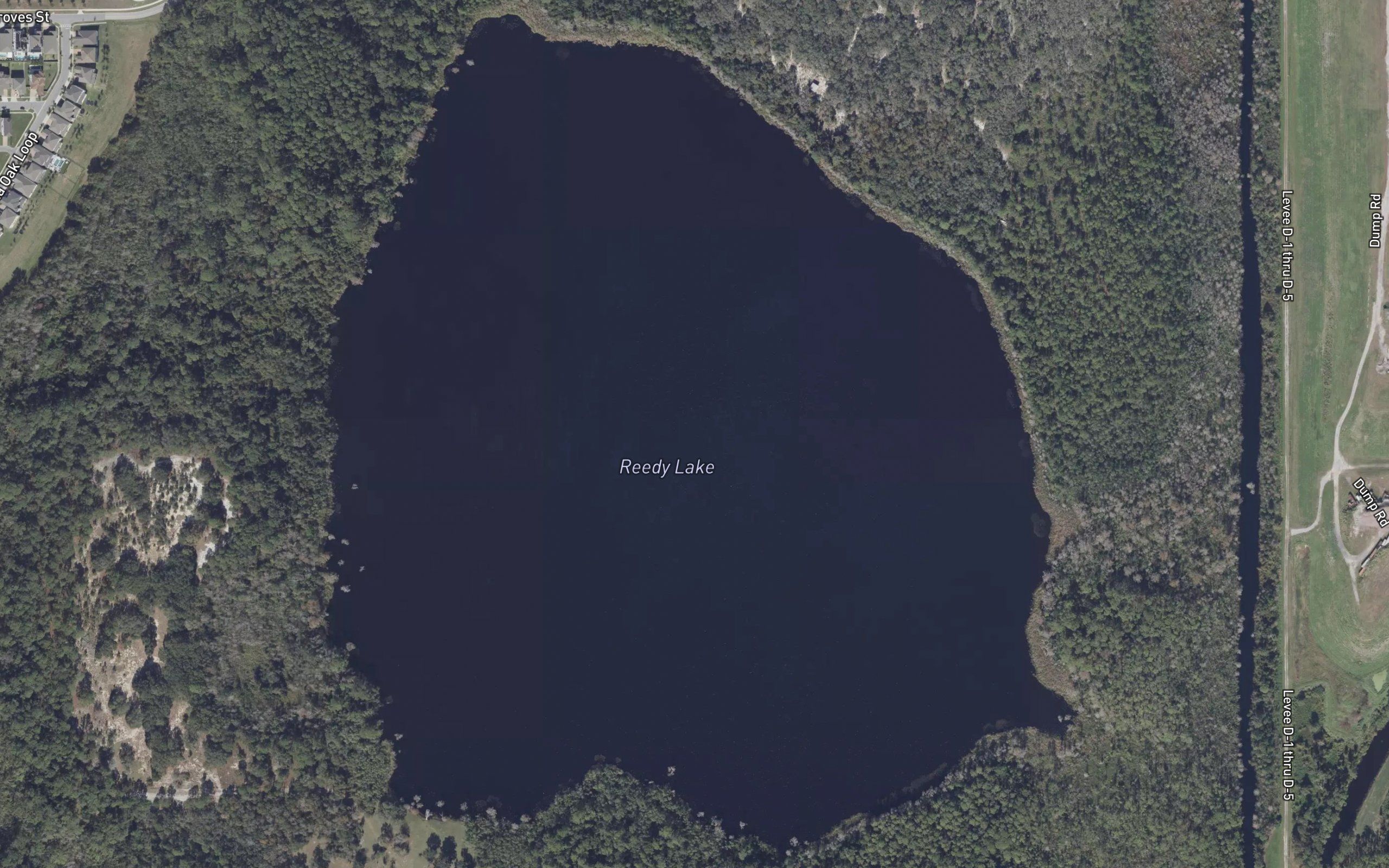 Reedy Lake