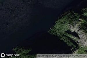 Kattavika