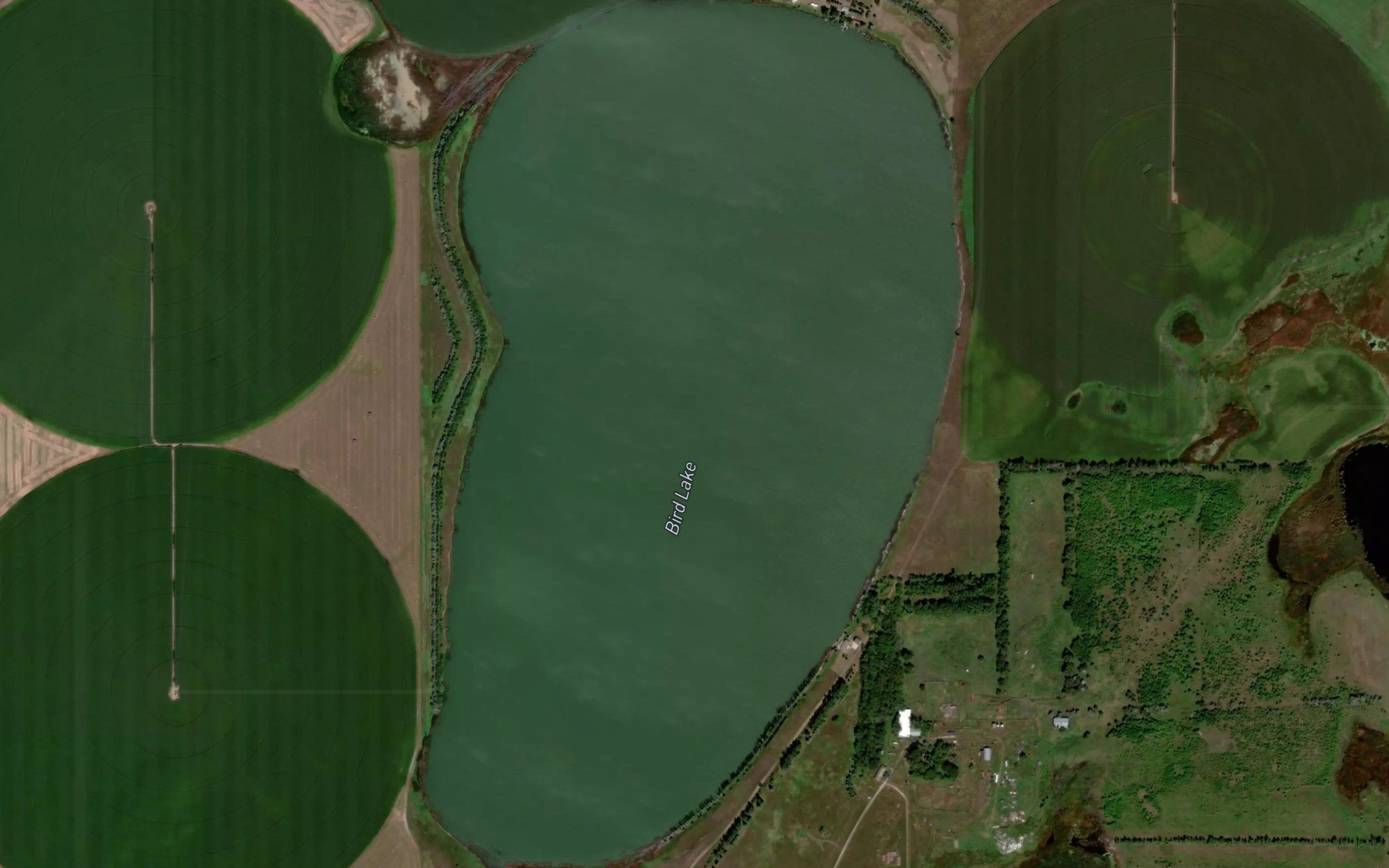 Bird Lake