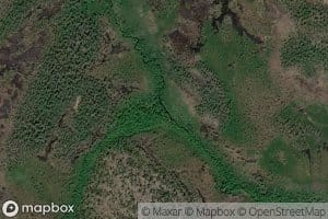 Staalu Kuatsaijuuvas