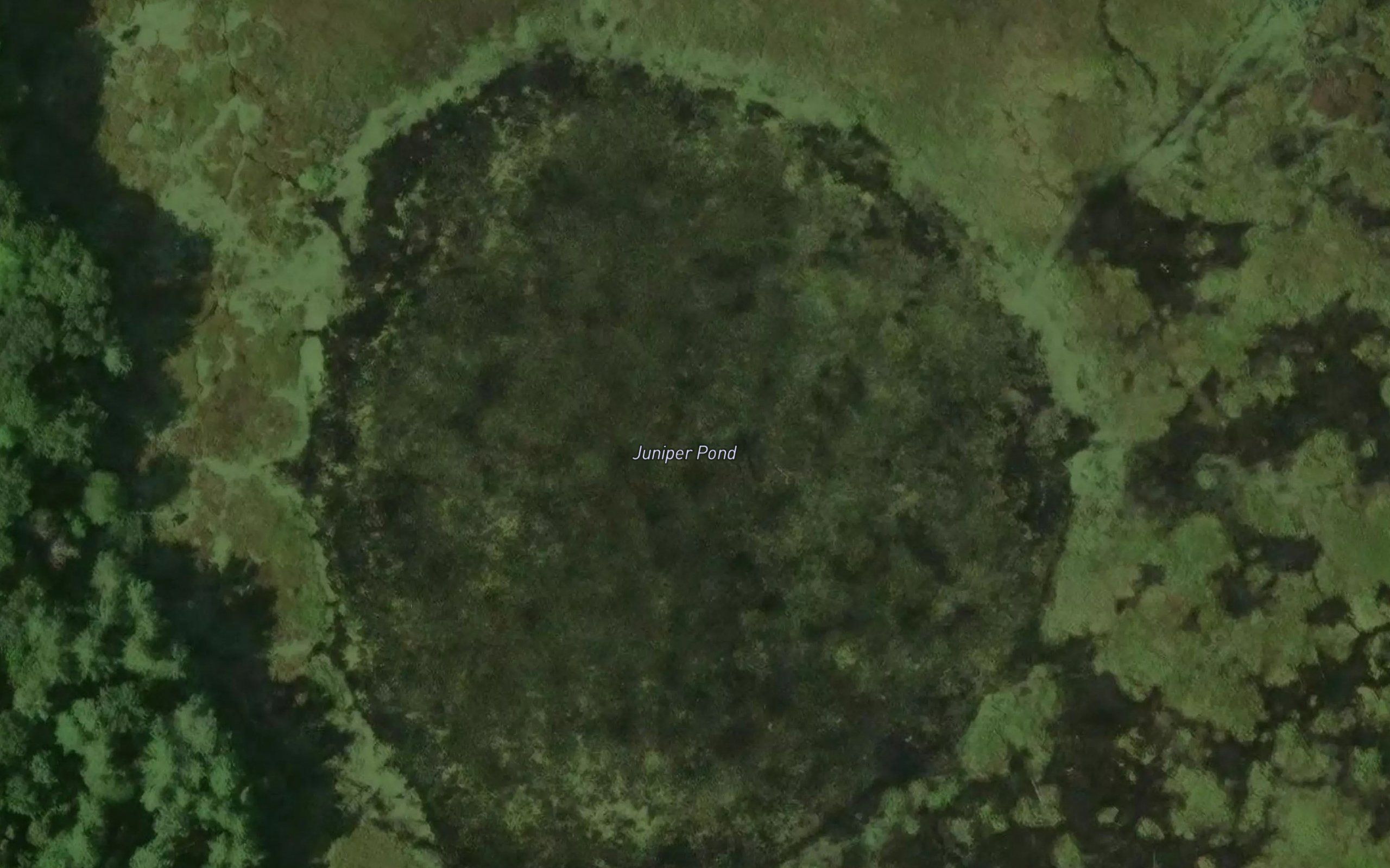 Juniper Pond