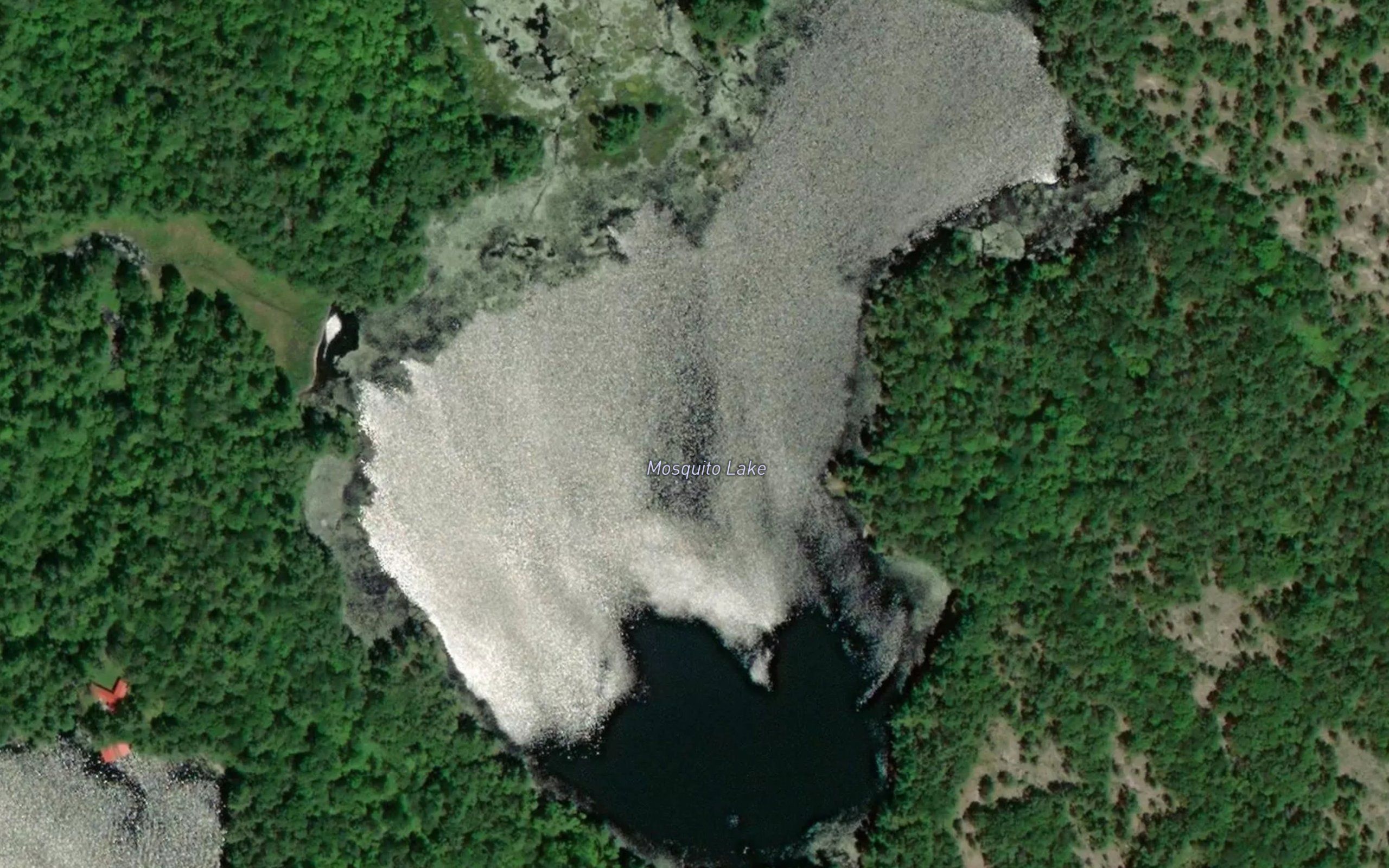 Mosquito Lake