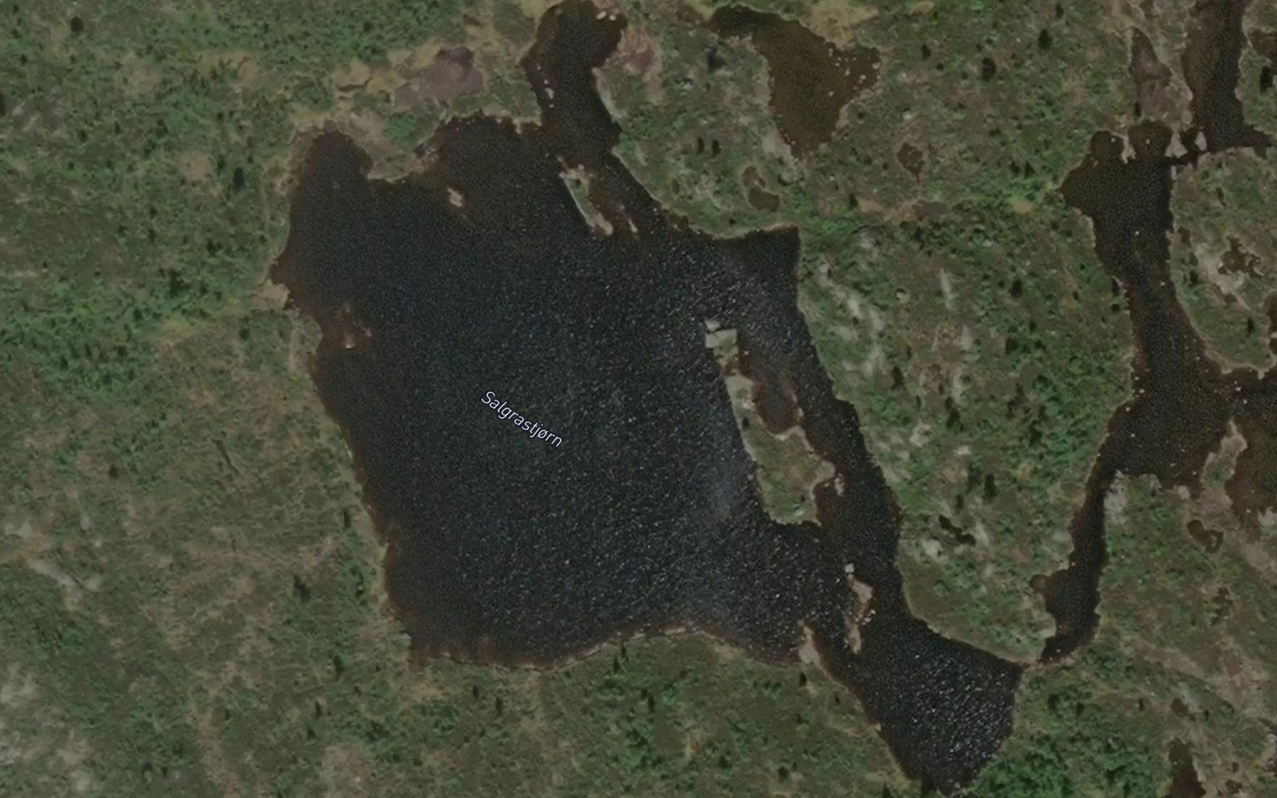 Satellite map of the Salgrastjonni