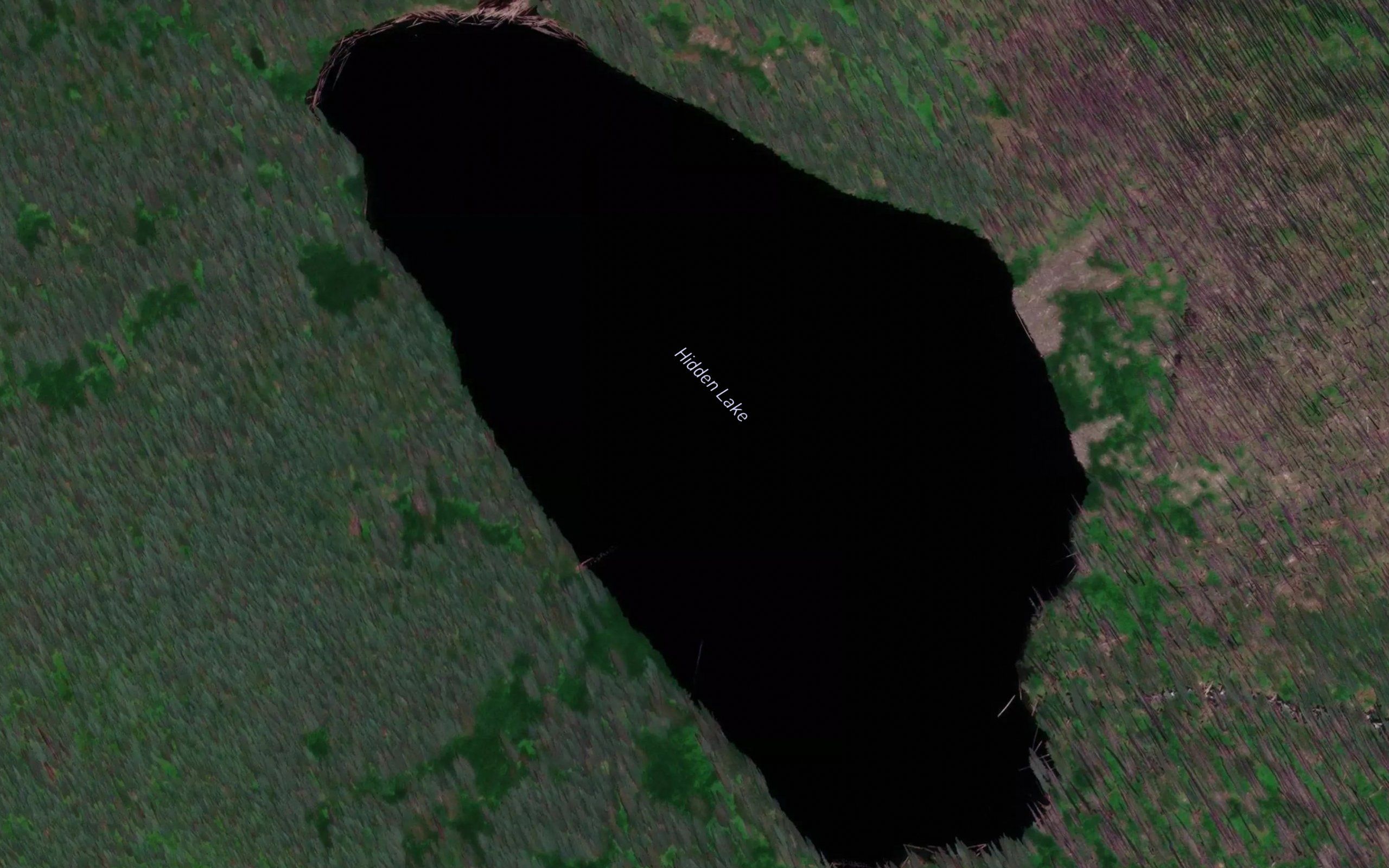 Hidden Lake