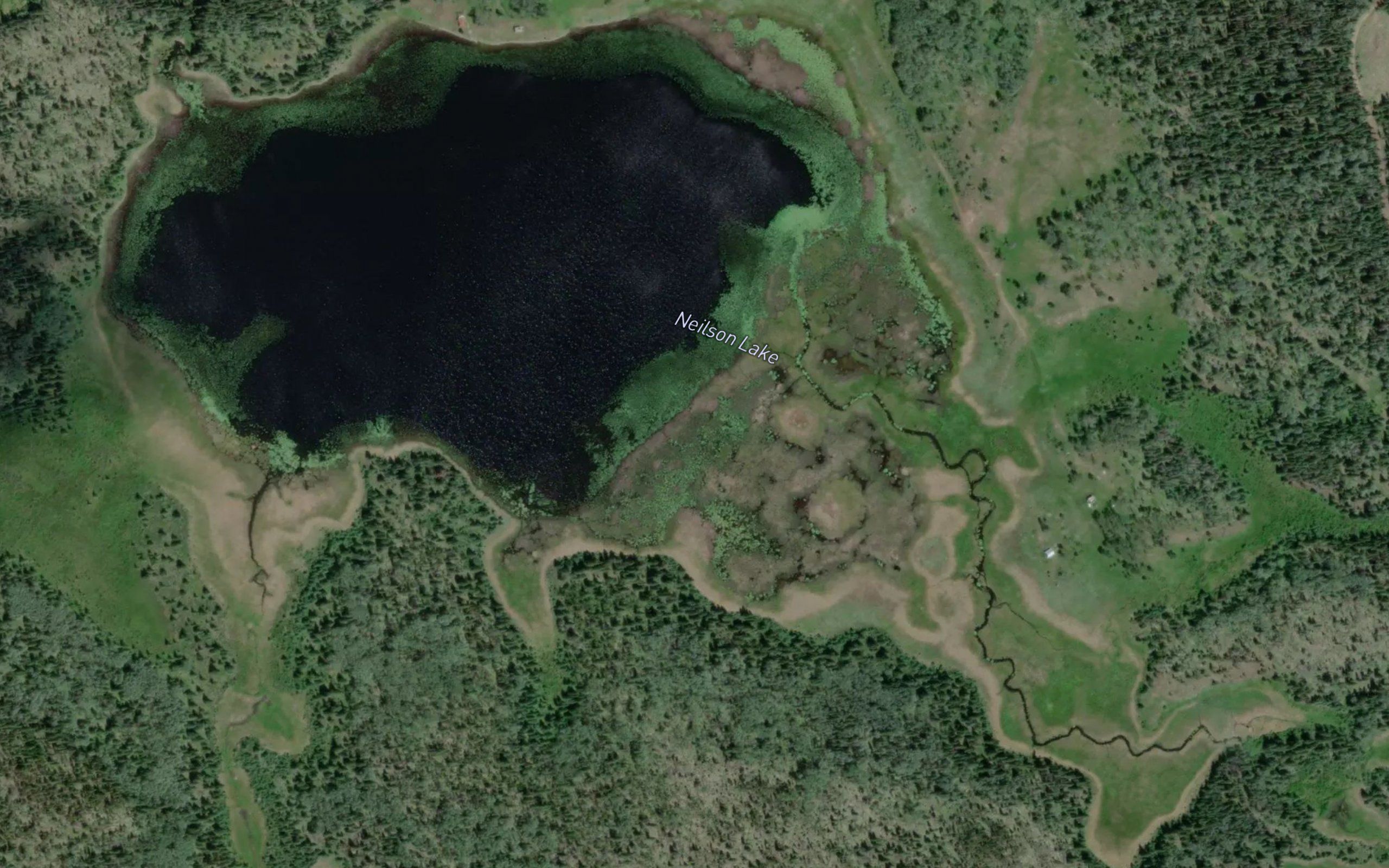 Neilson Lake