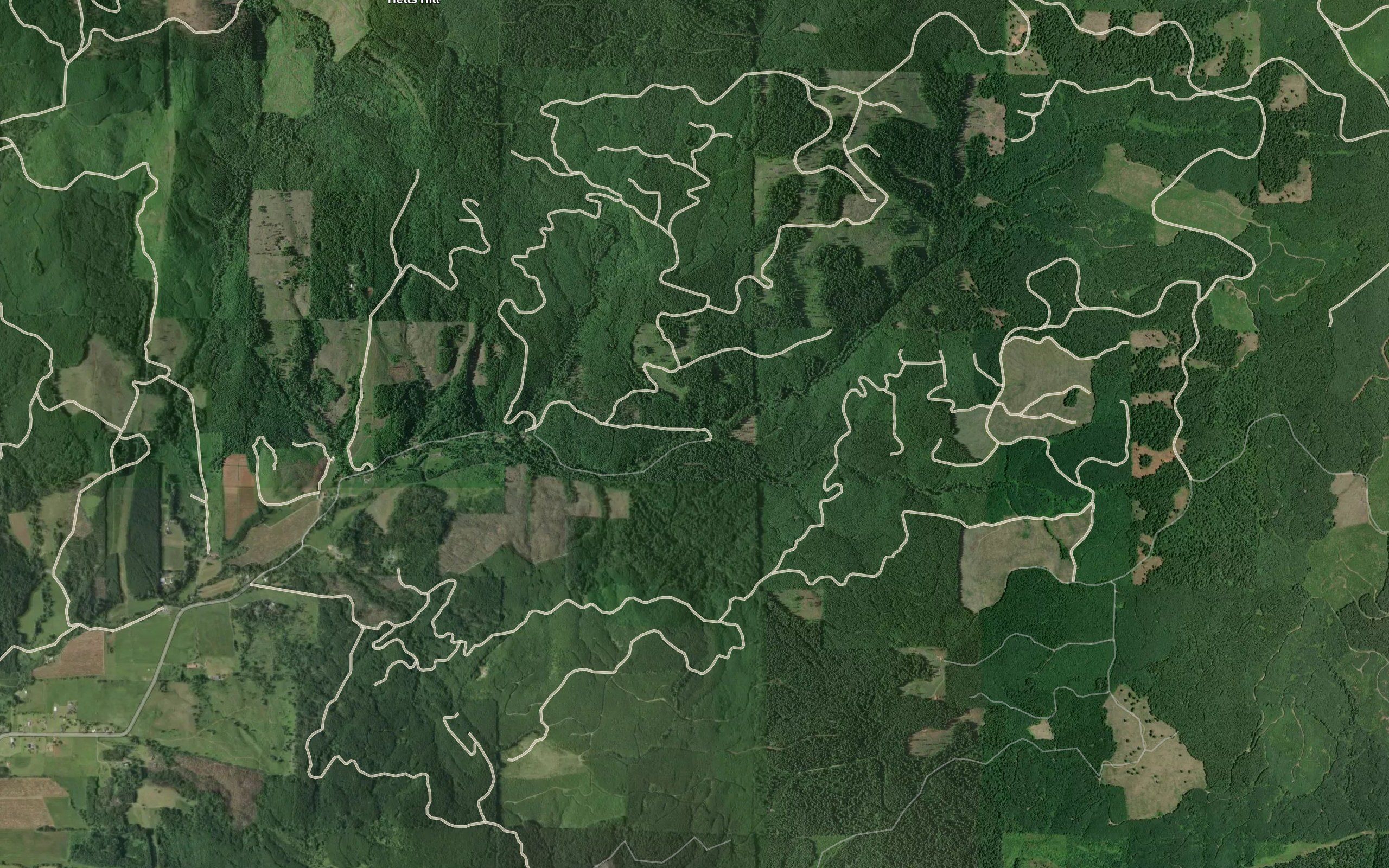 Thomas Creek