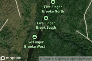 Five Finger Brook