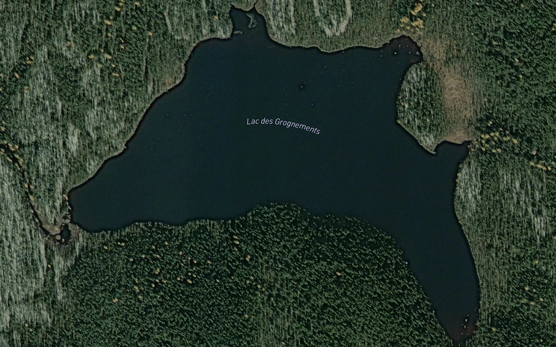 Satellite map of the Lac des Grognements