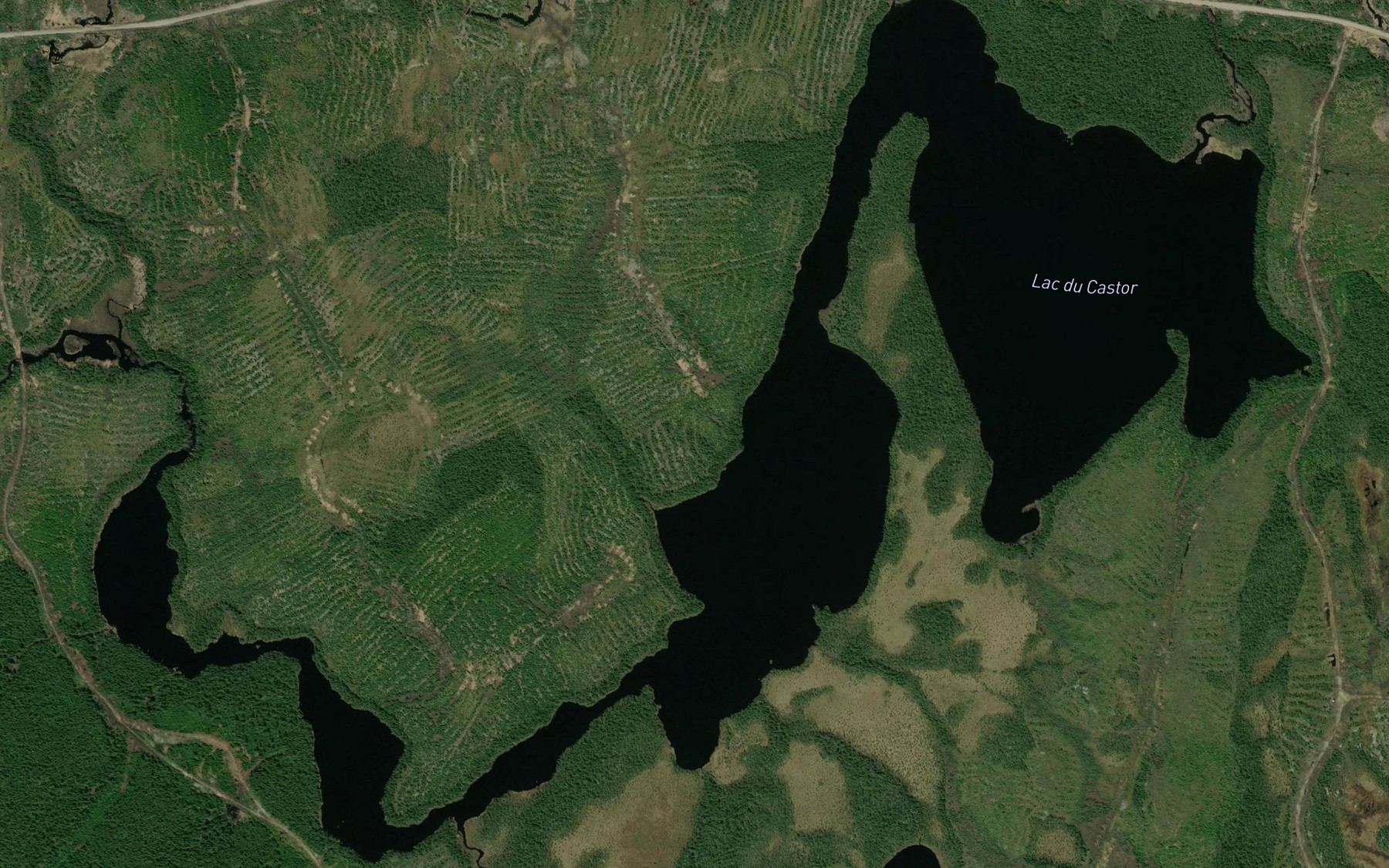 Satellite map of the Lac du Castor