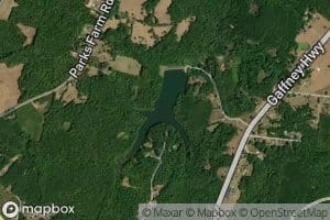 Jonesville Town Pond