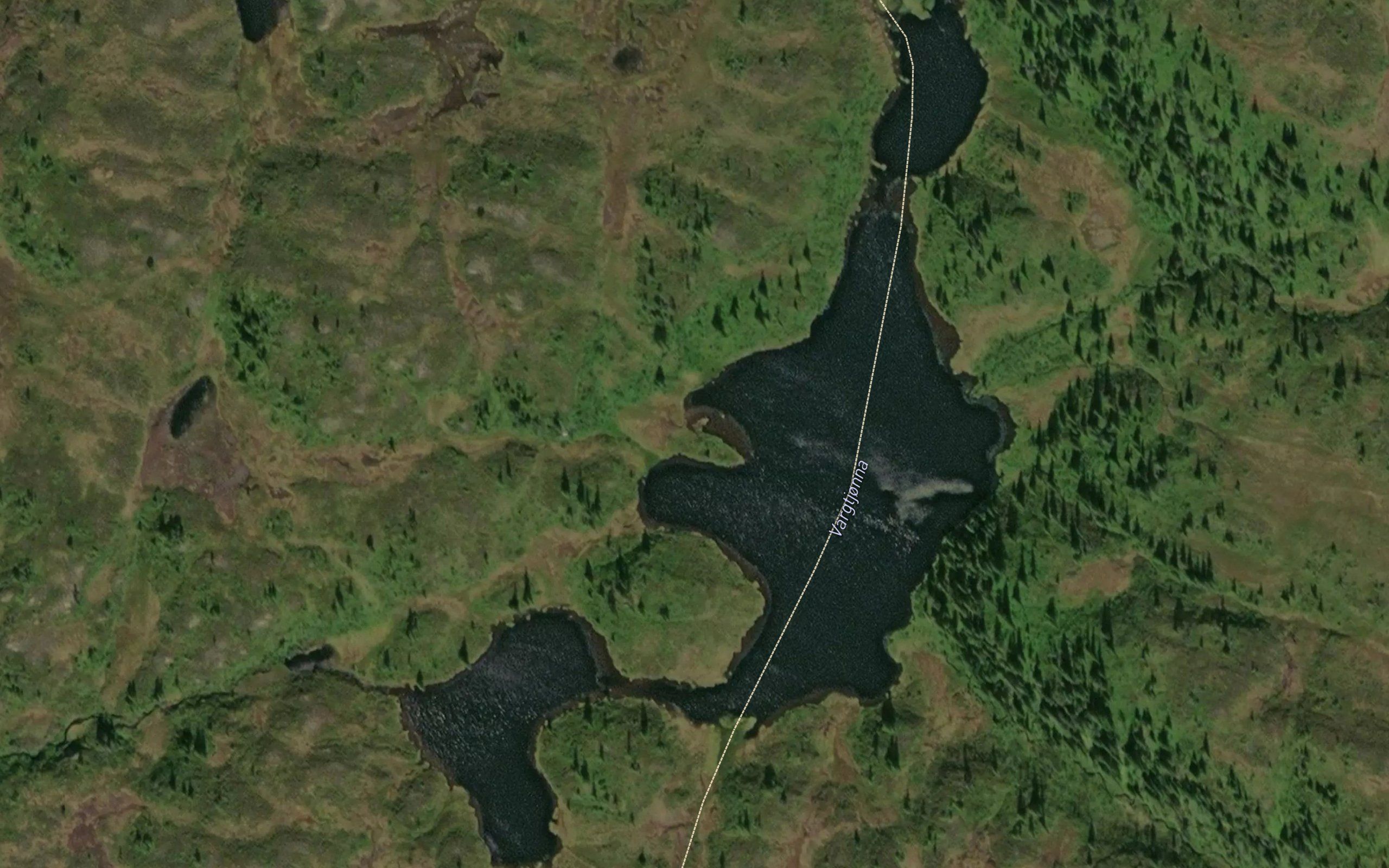 Vargtjorna