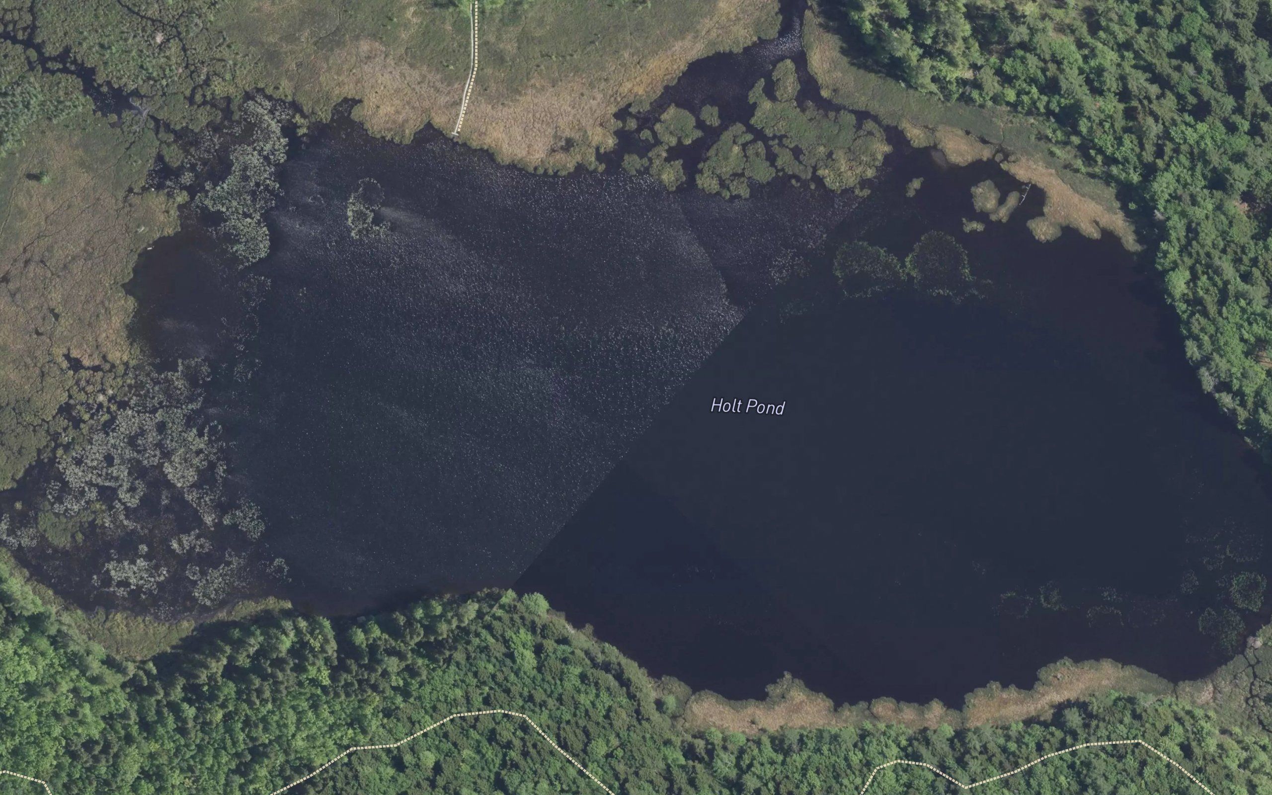 Holt Pond