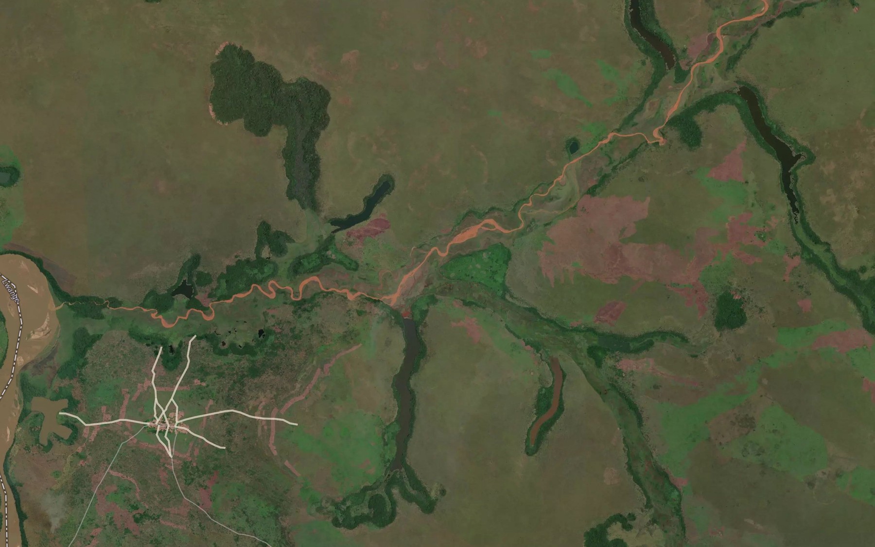 Satellite map of the Luenyi