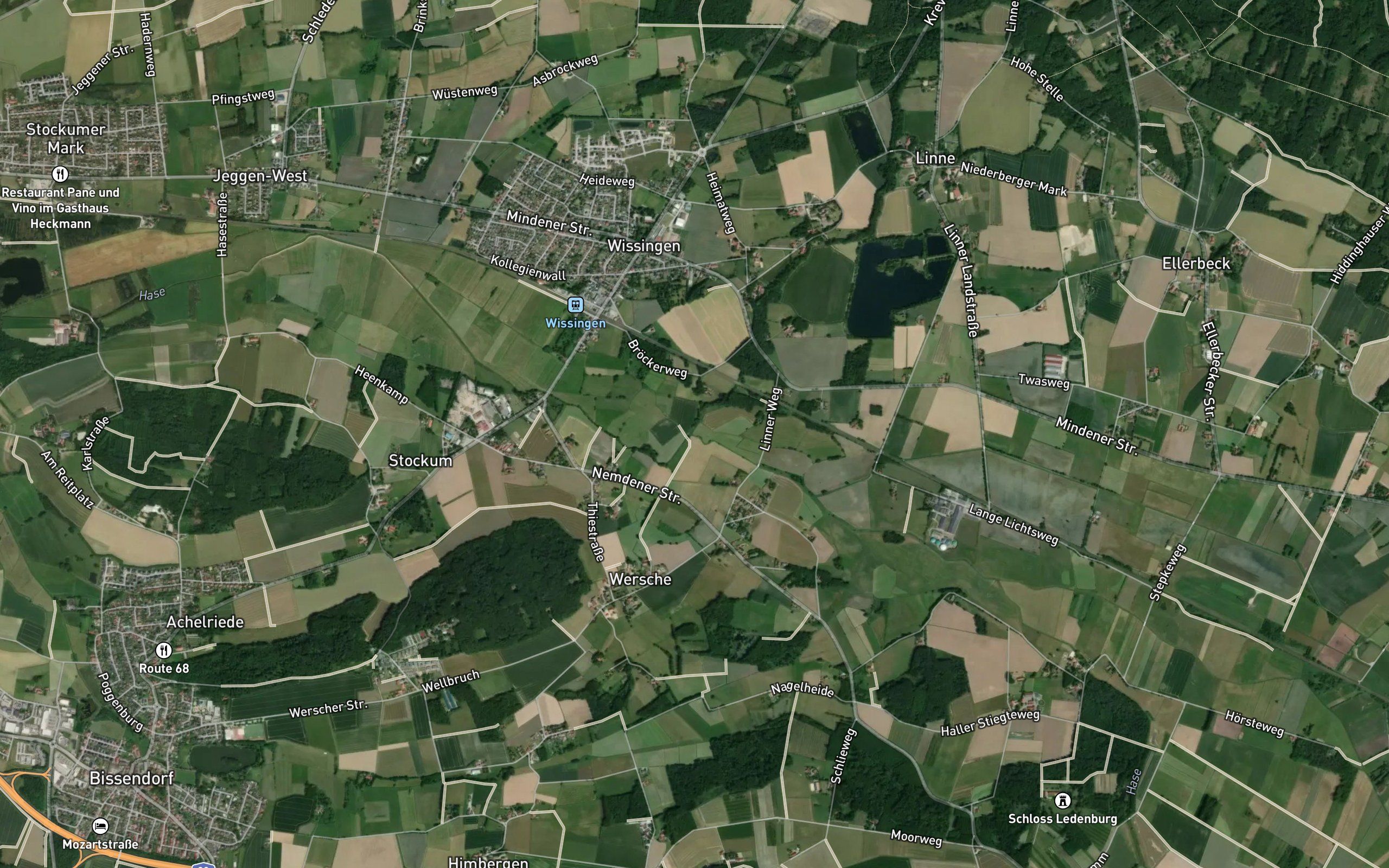 Alte Hase