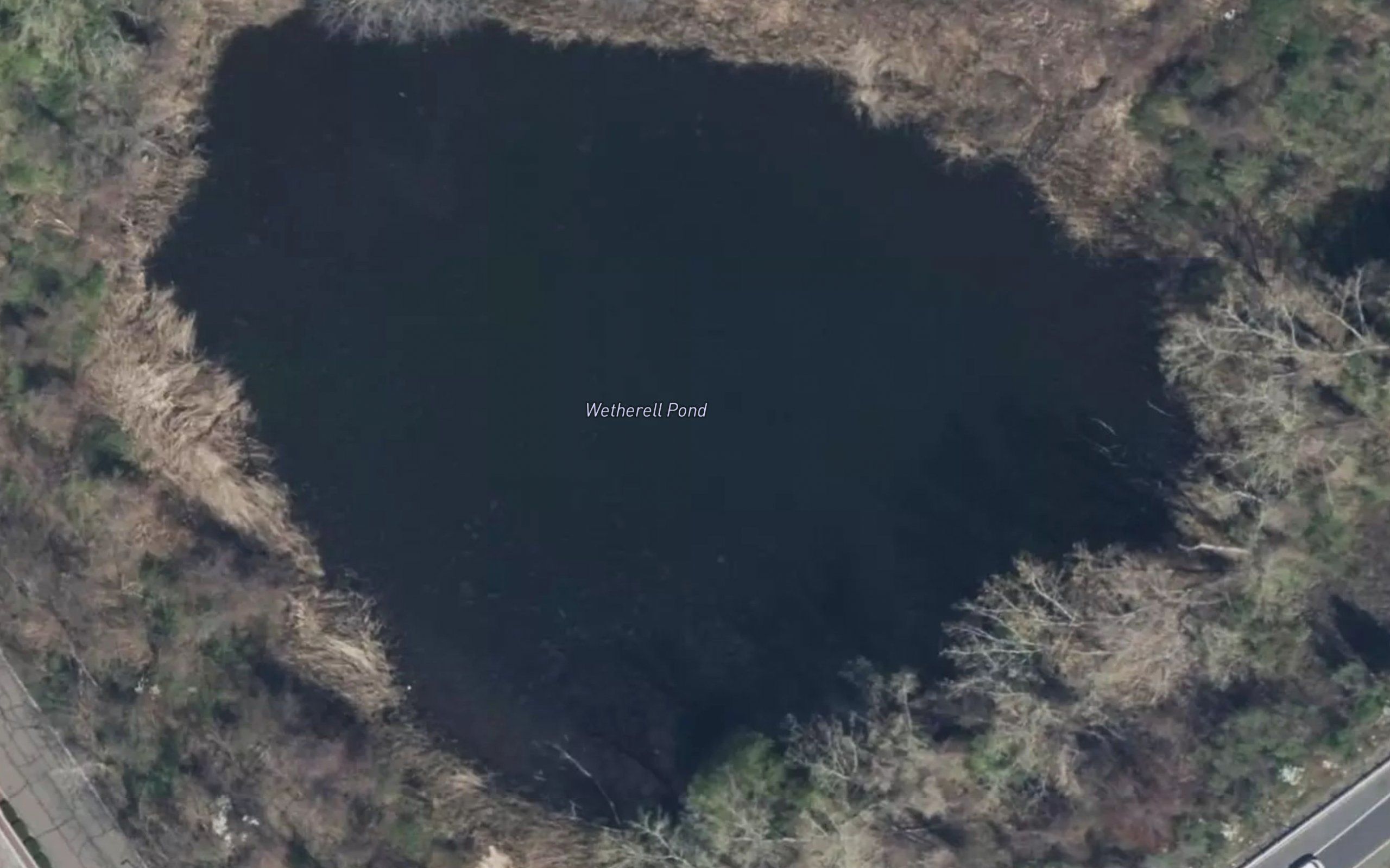 Wetherell Pond