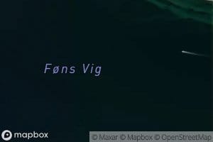 Fons Vig