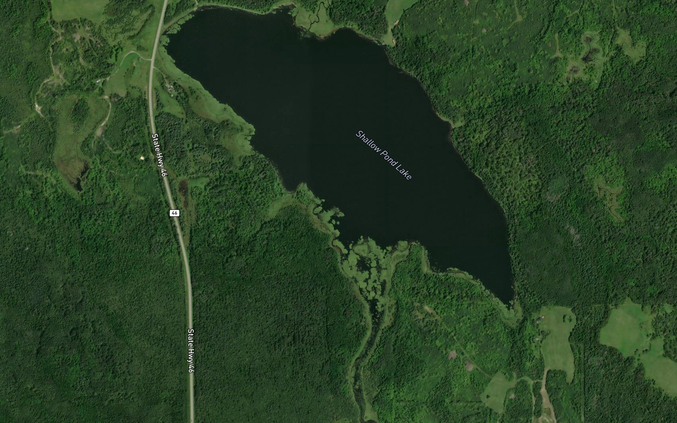 Shallow Pond Lake