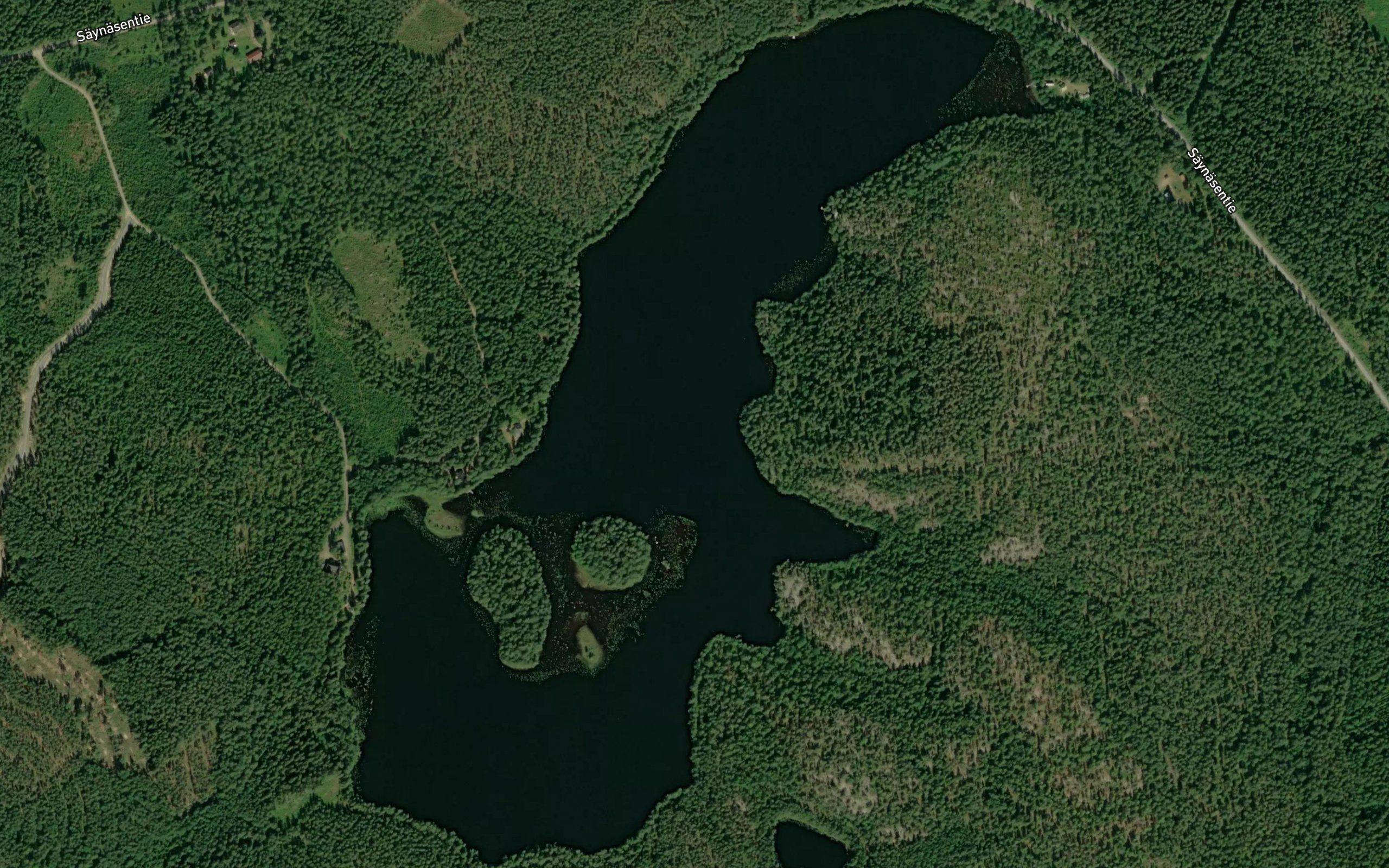 Iso-Sayneinen