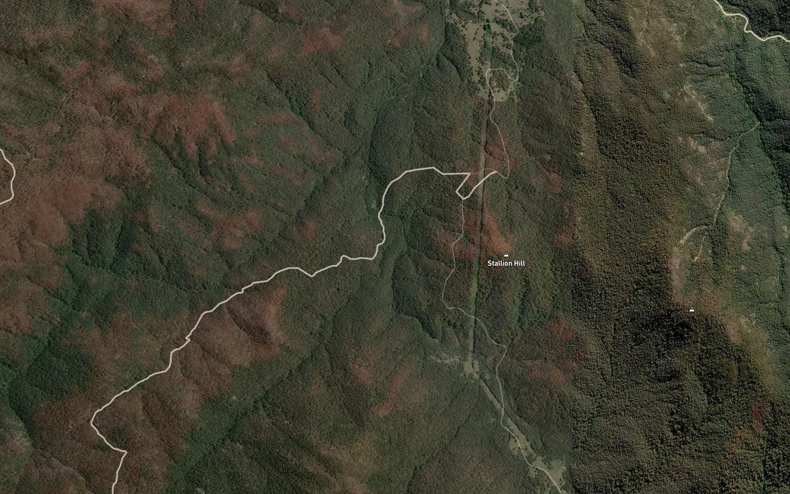 Bogong Creek