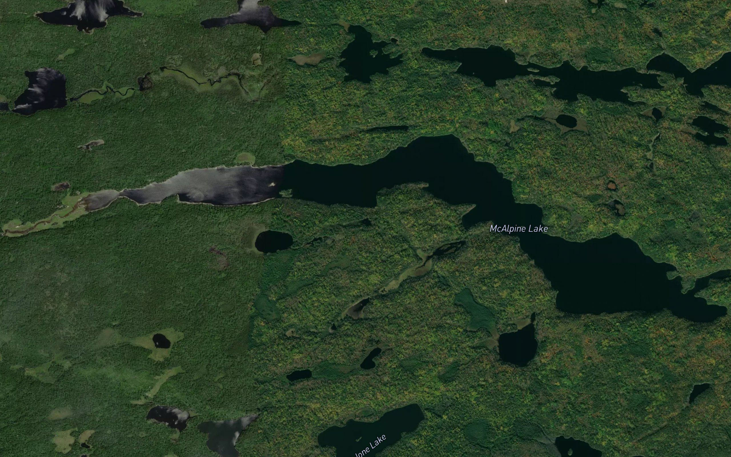 McAlpine Lake
