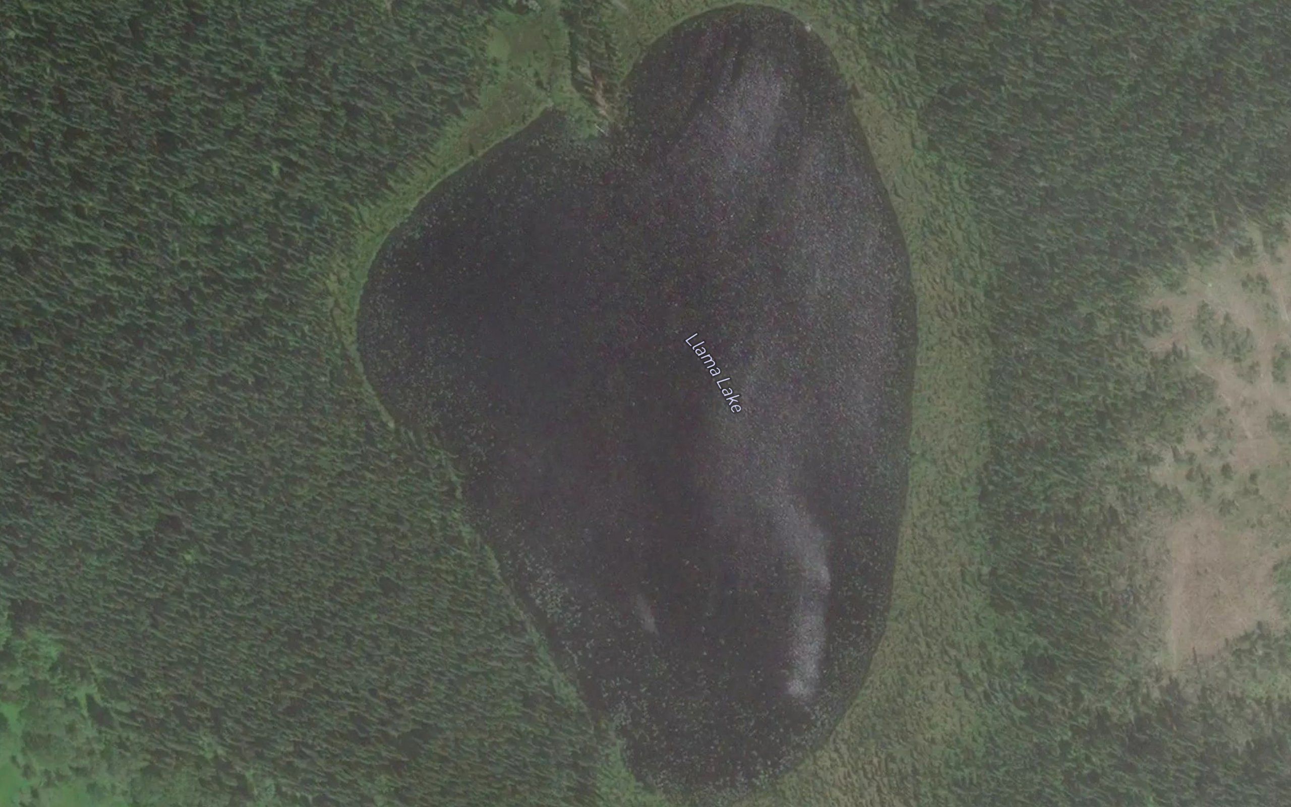 Llama Lake