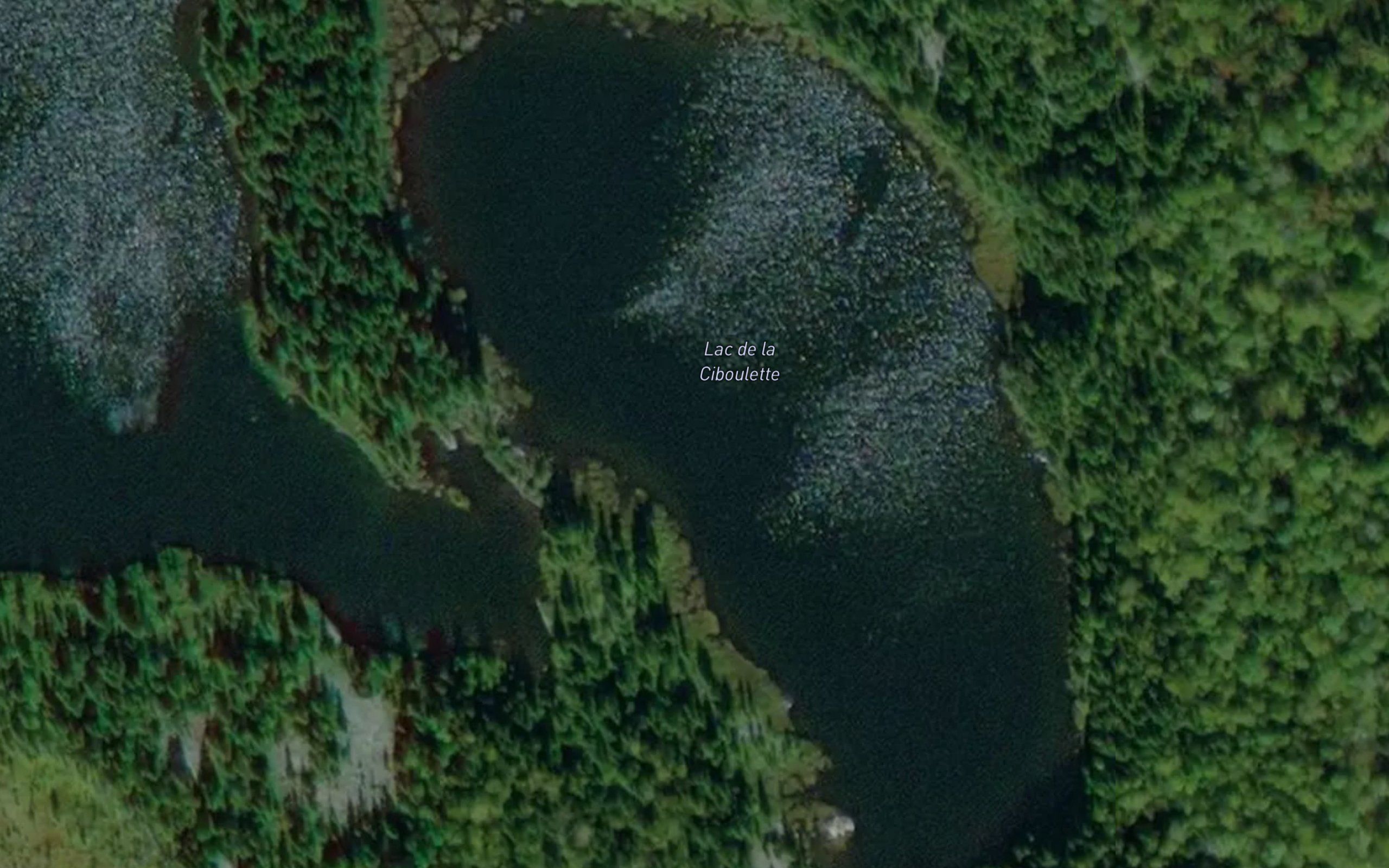 Lac de la Ciboulette