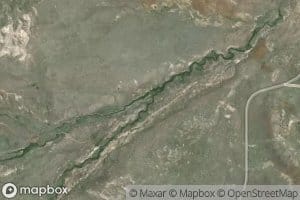 Poison Creek
