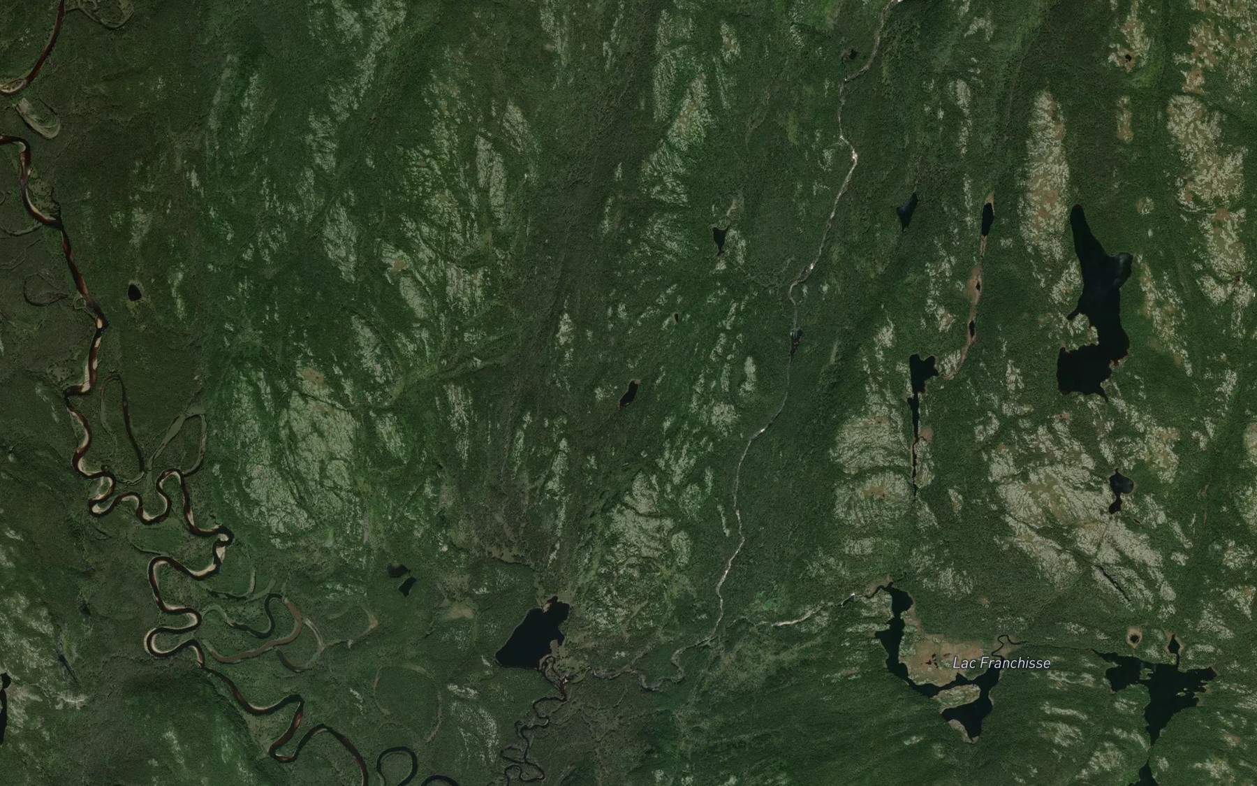 Satellite map of the Lac Forest